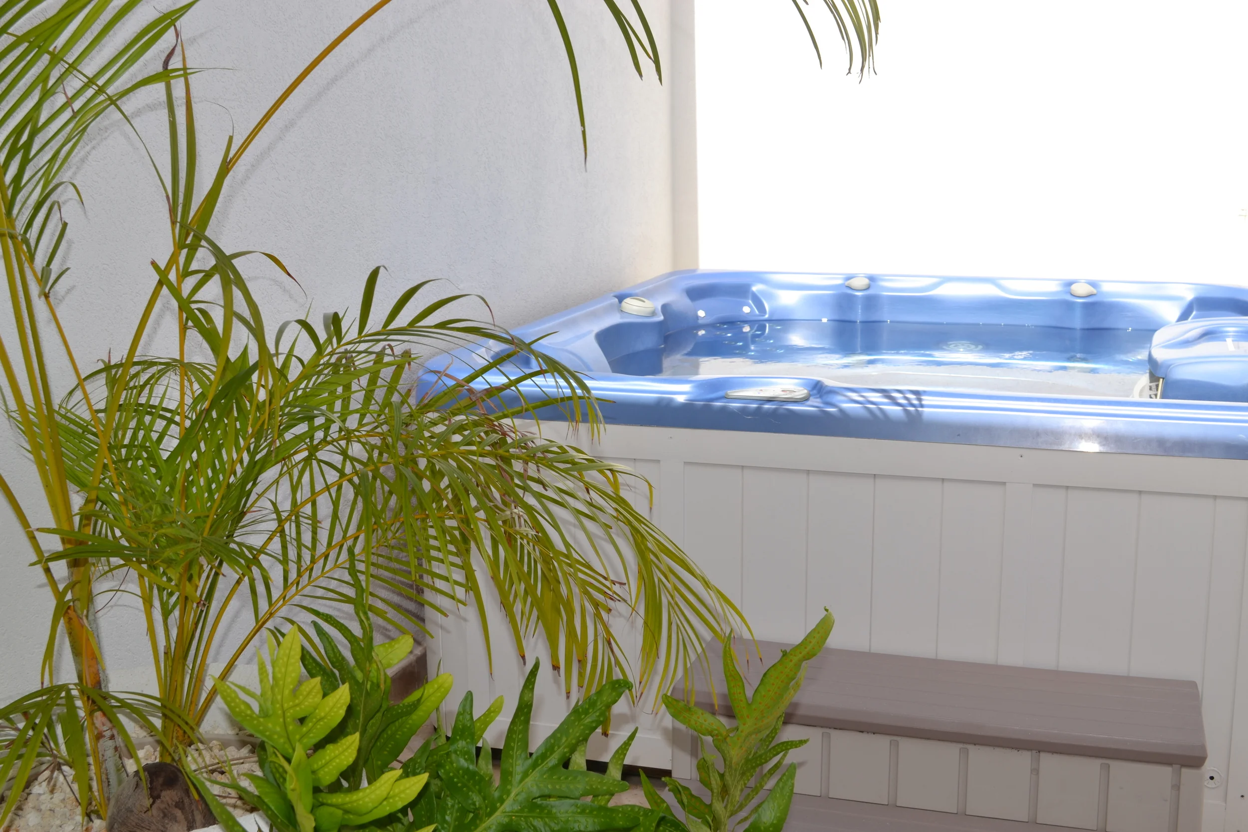 Copy of DSC_0058.JPG