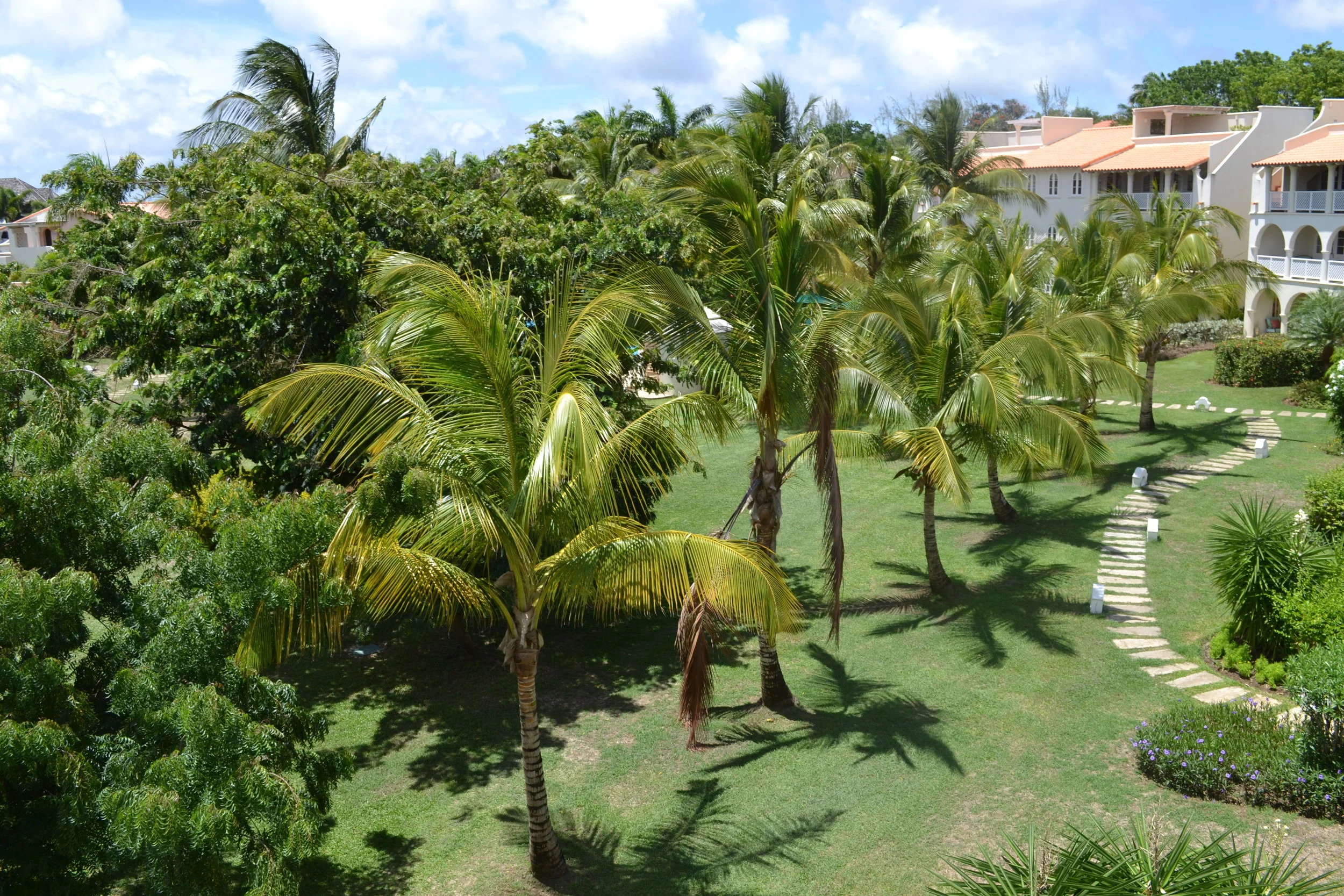 Copy of DSC_0068.JPG