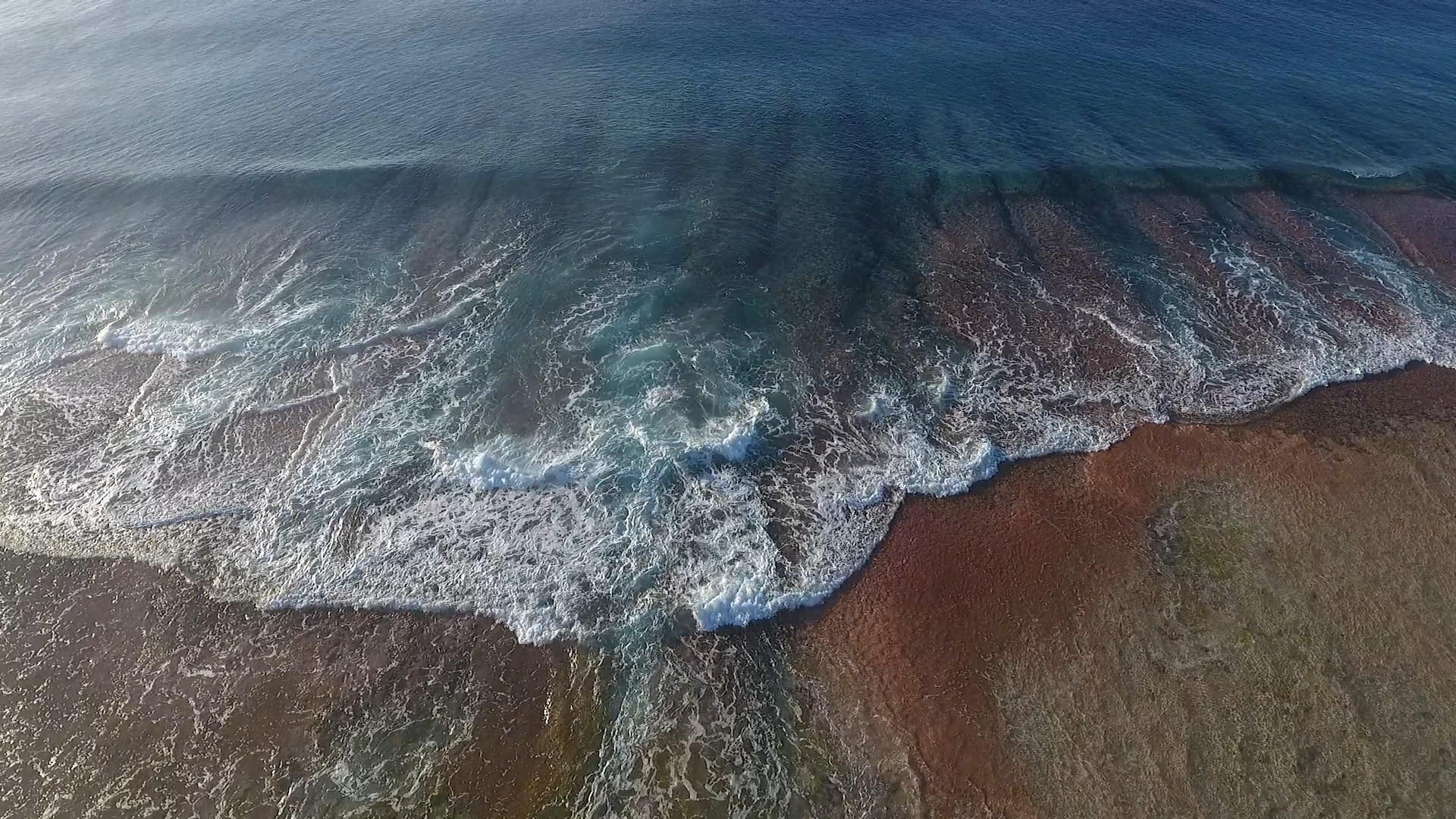 Our atoll speaks
