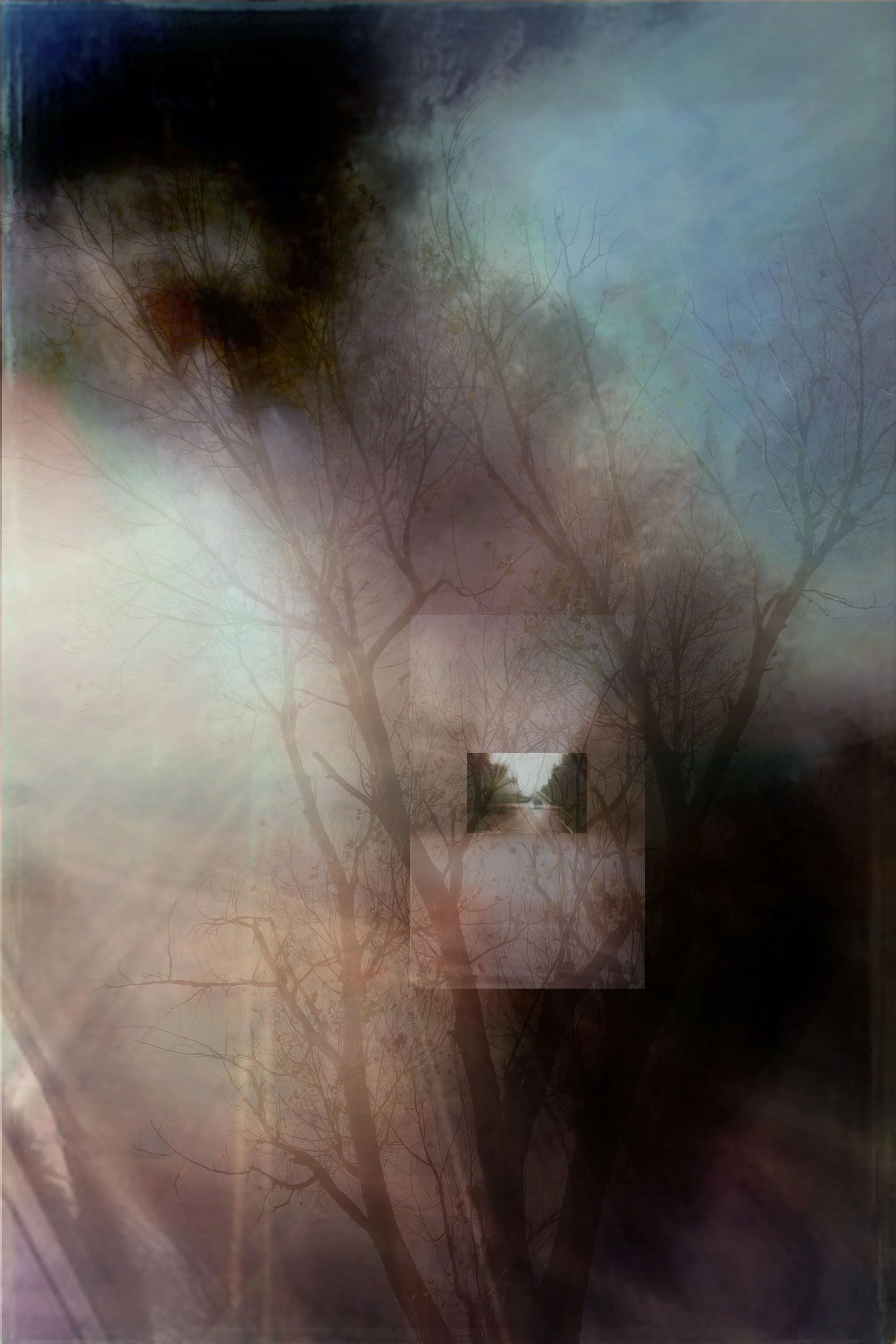 Dormancy
