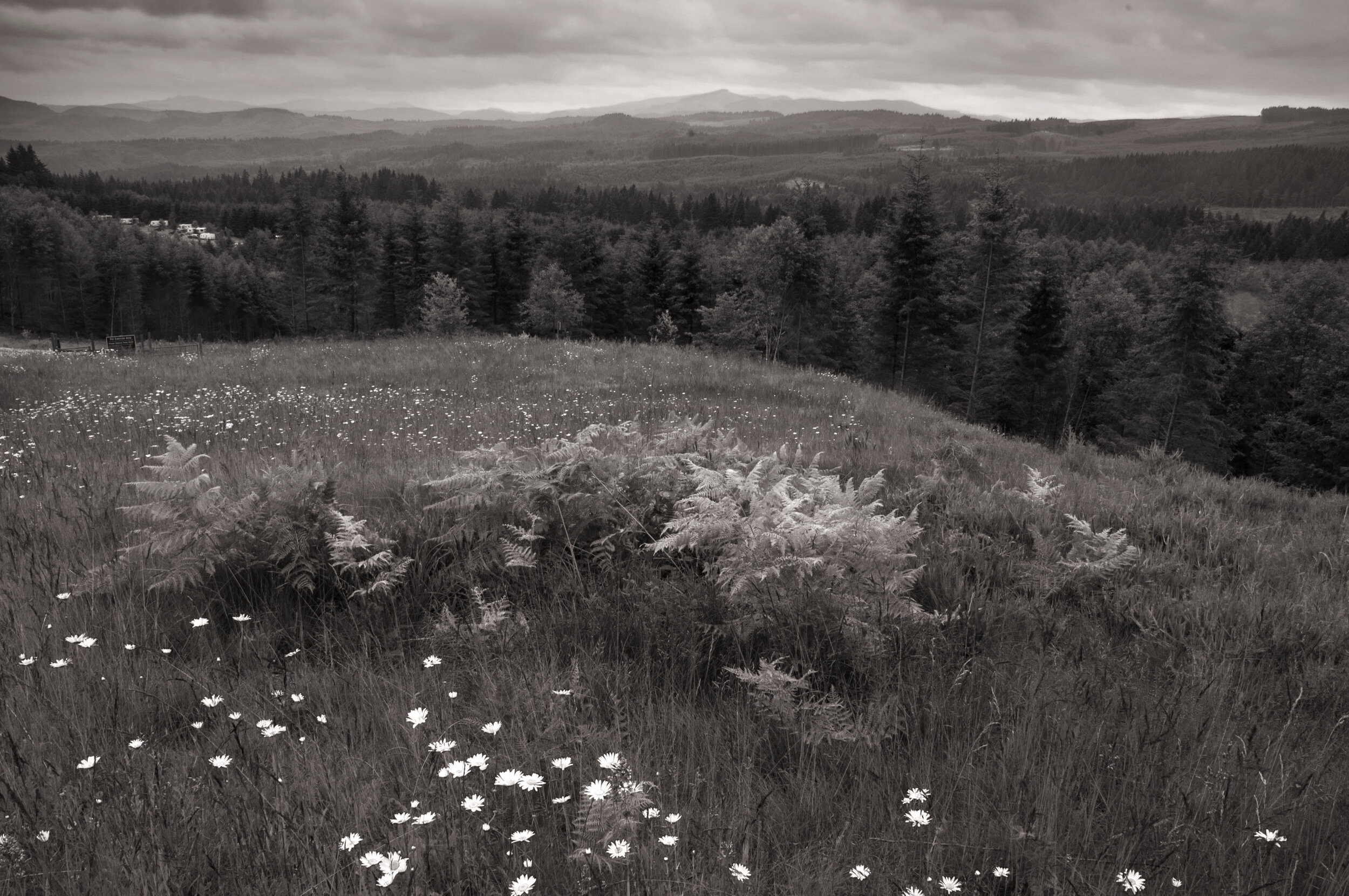 StubbStewart_019 copy.jpg