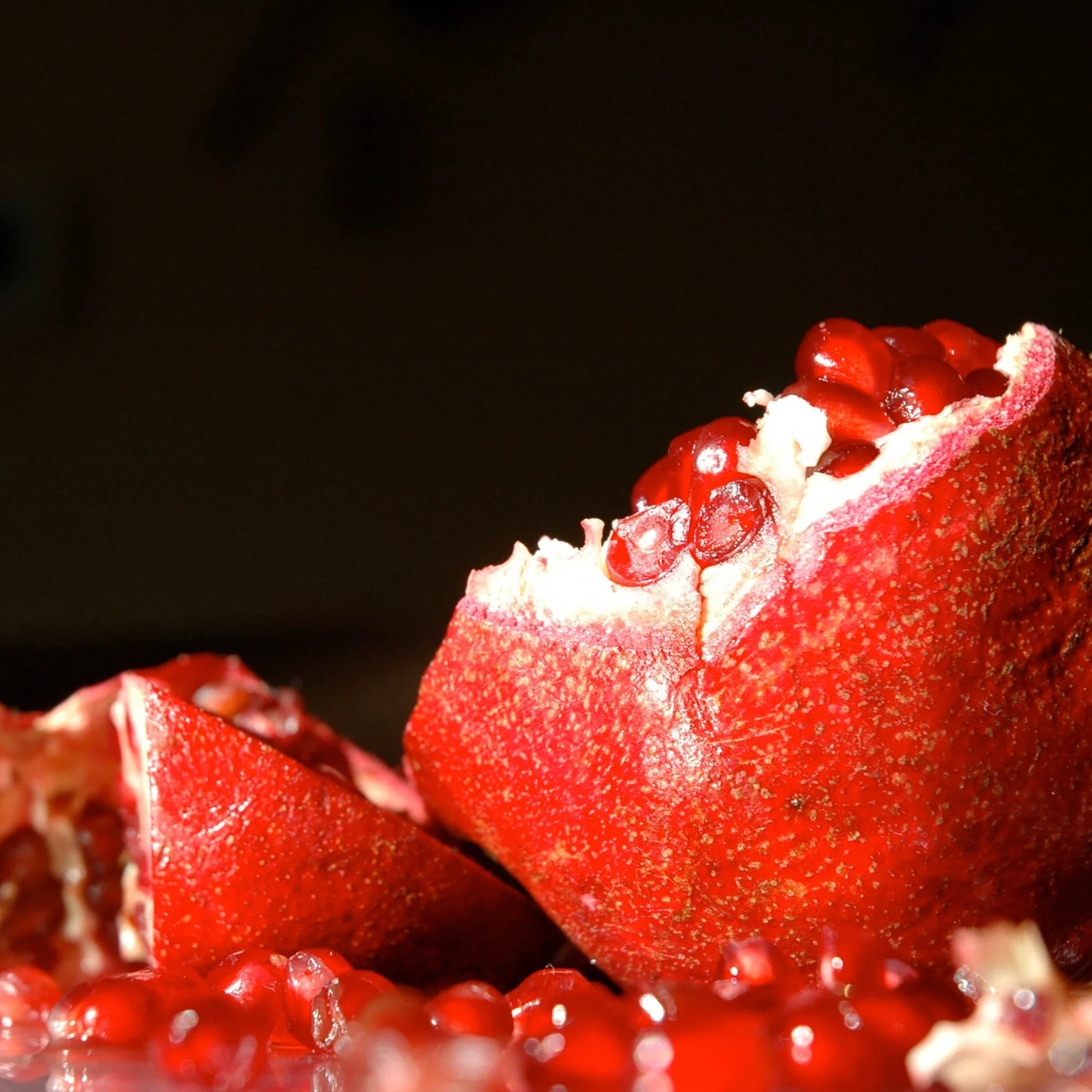 Pom_Seeds_508.jpg
