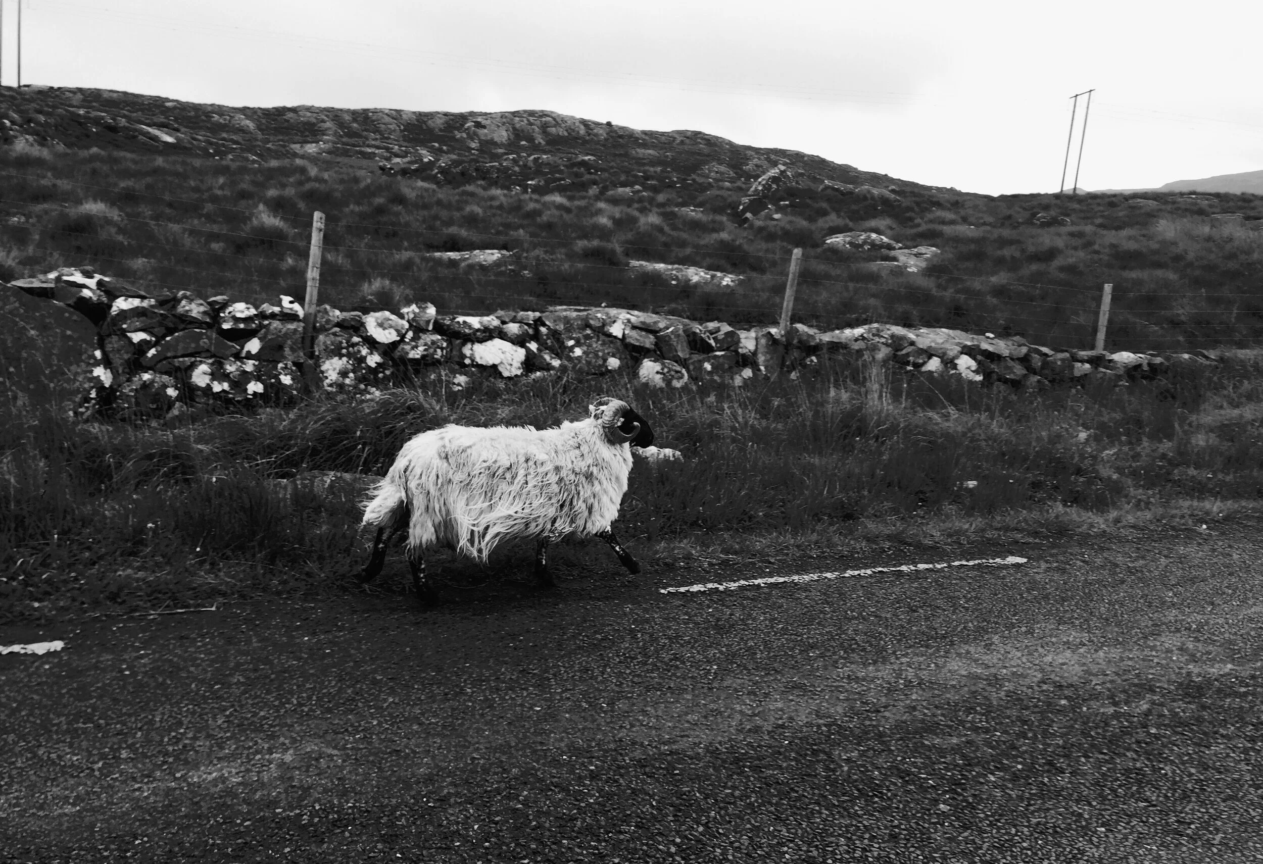 Connemara National Park