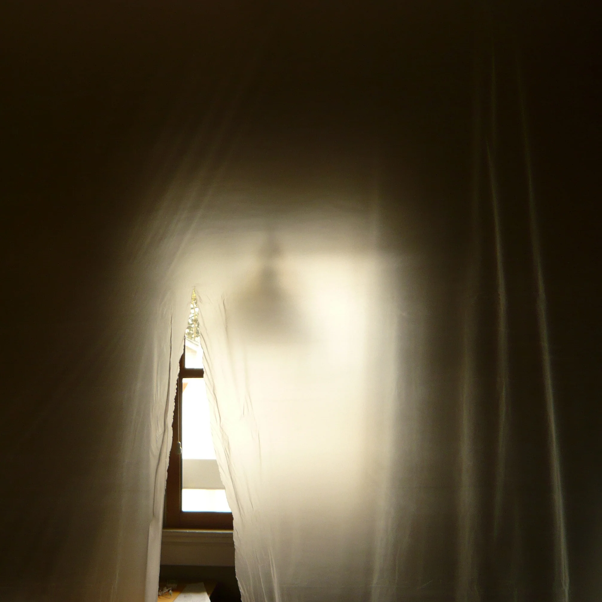 L1050412.jpg