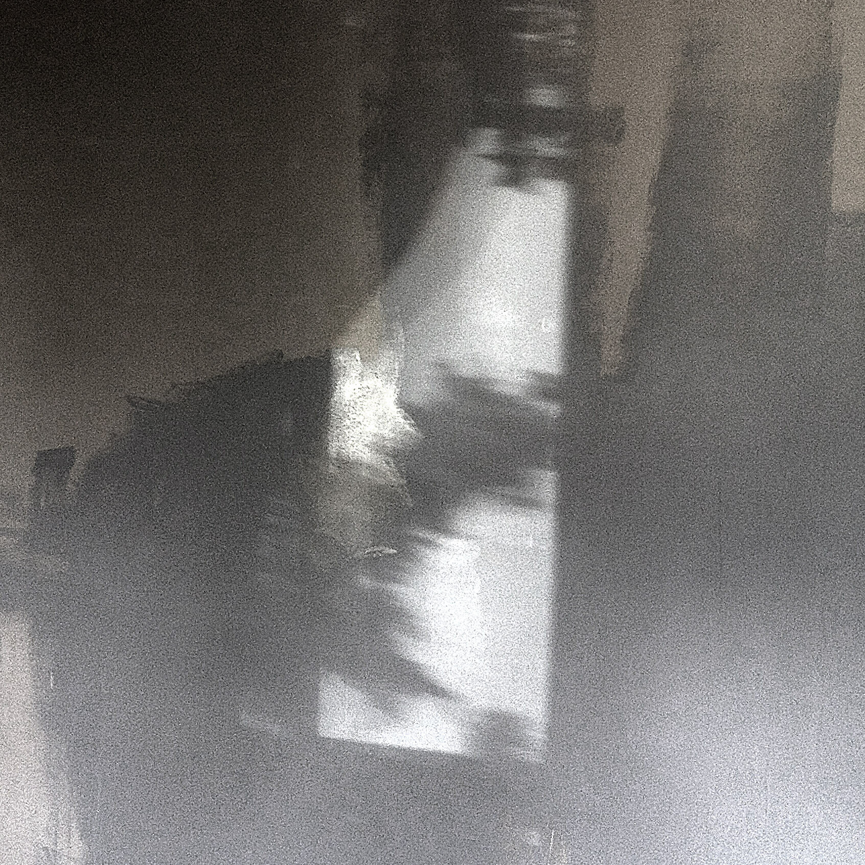 gray copy.jpg