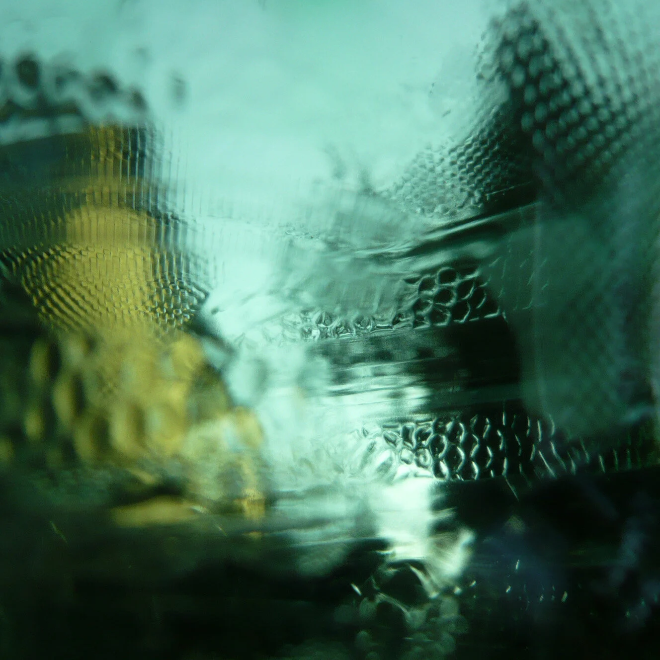 L1220700.jpg
