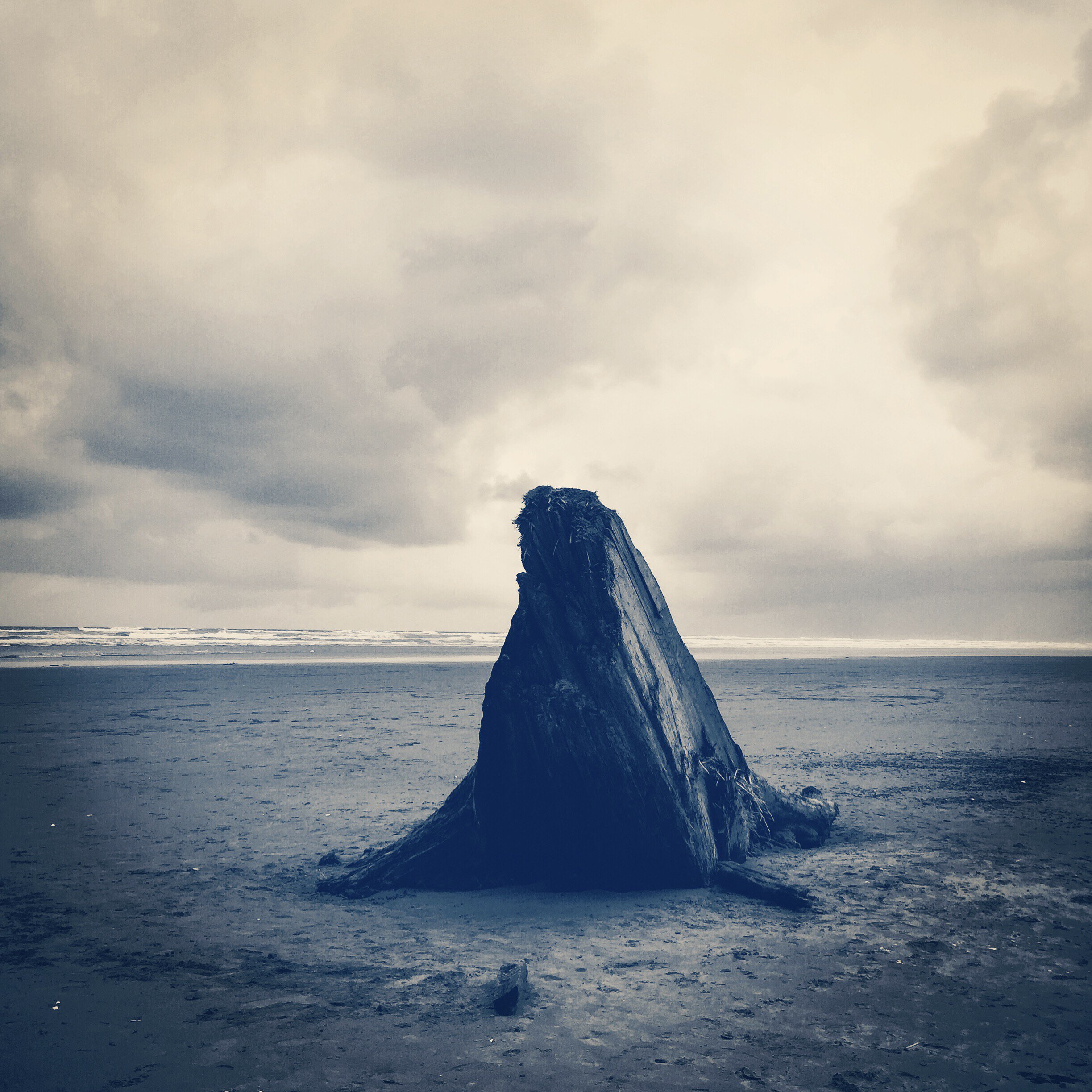Wanderings_139.jpg