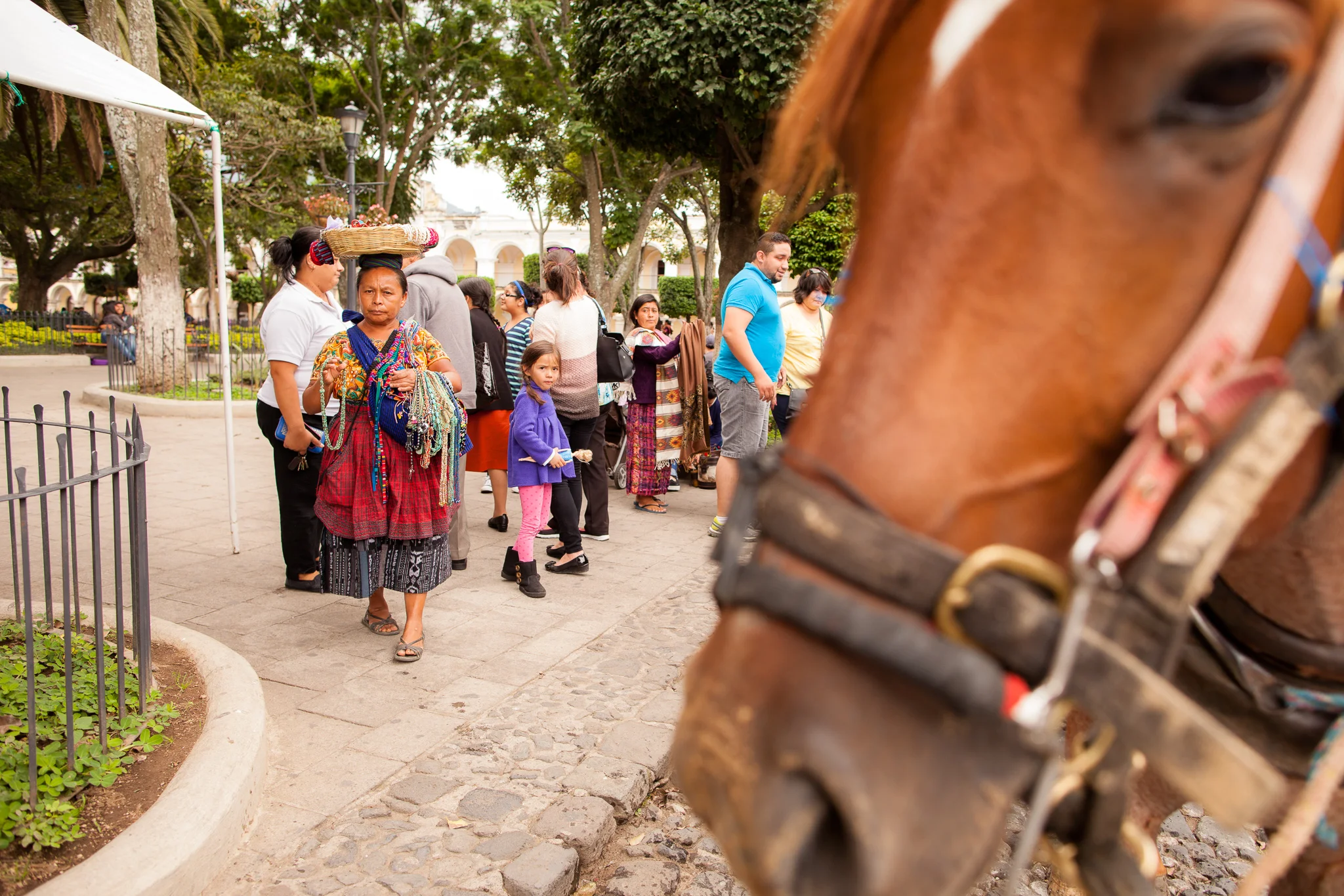 Guatemala-CP-160804-009.jpg
