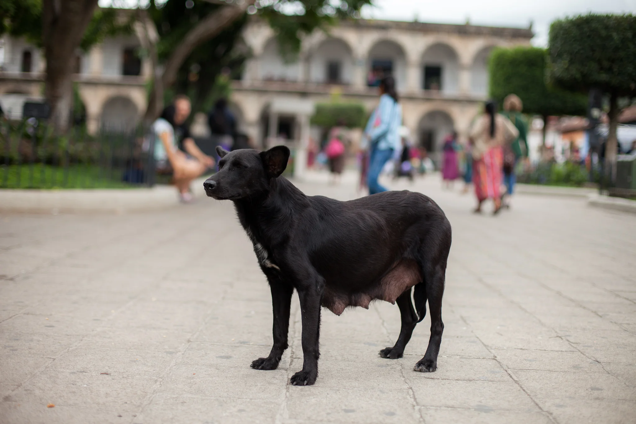 Guatemala-CP-160804-050.jpg
