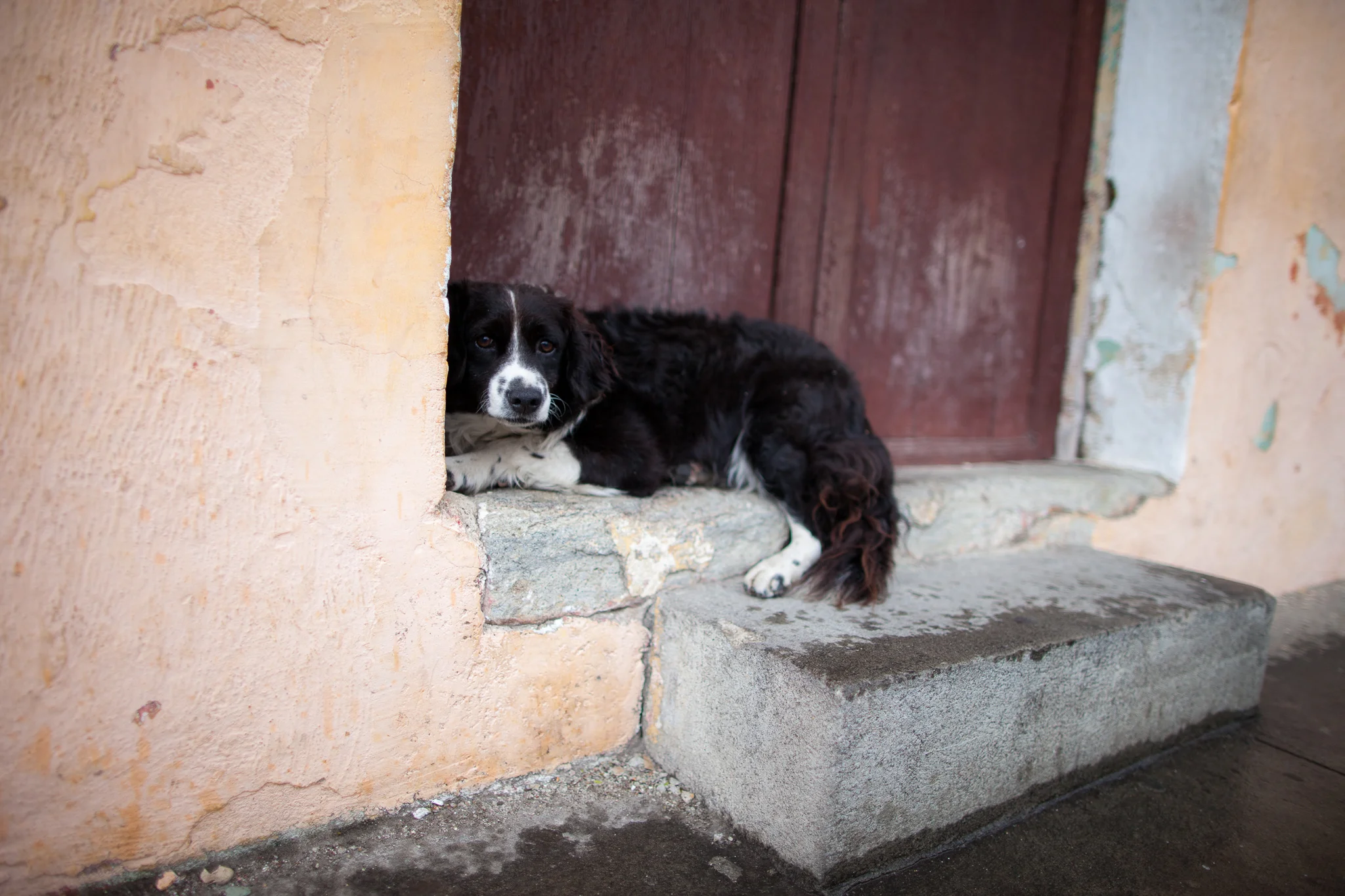 Guatemala-CP-160804-059.jpg