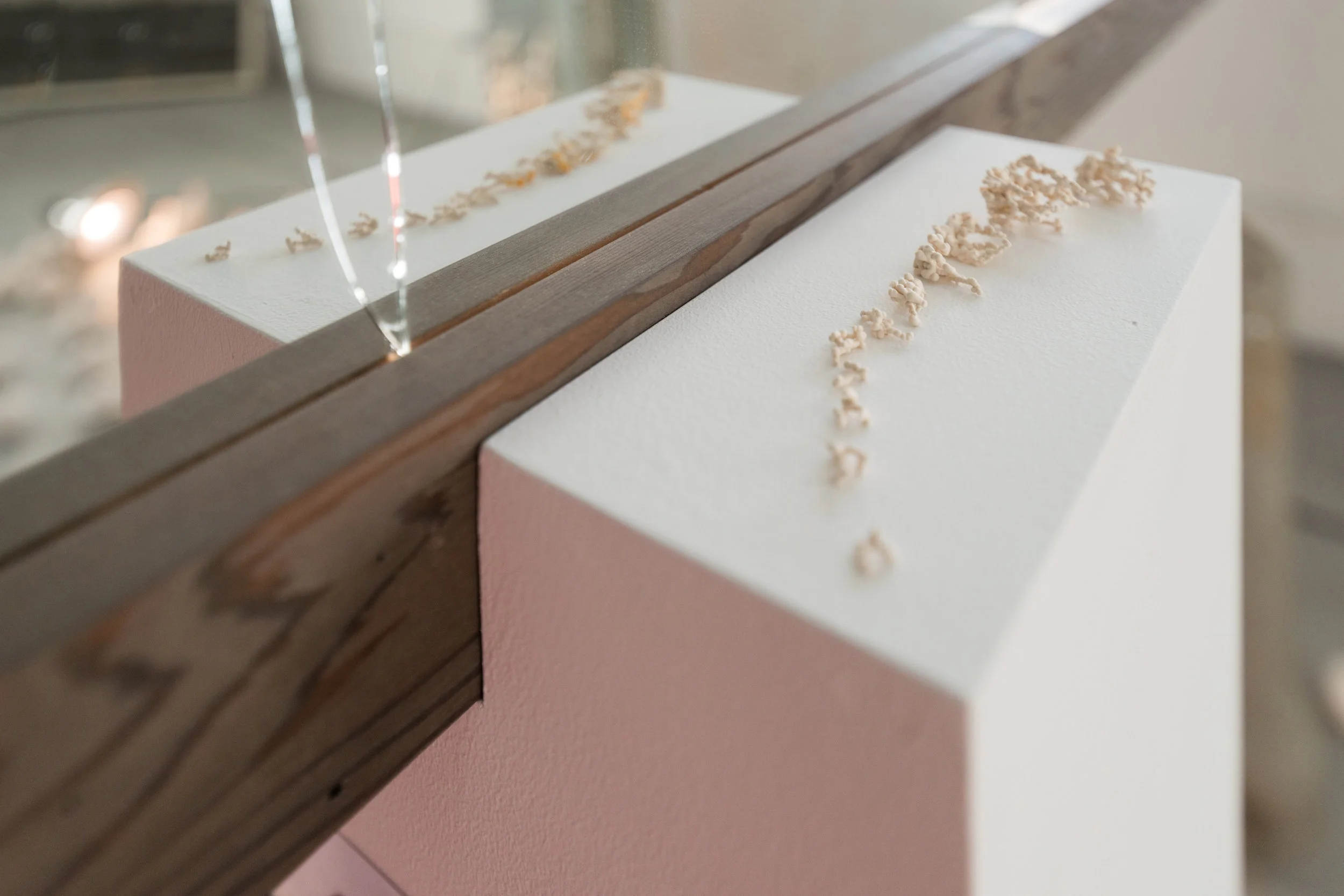 MKG_6678.jpg