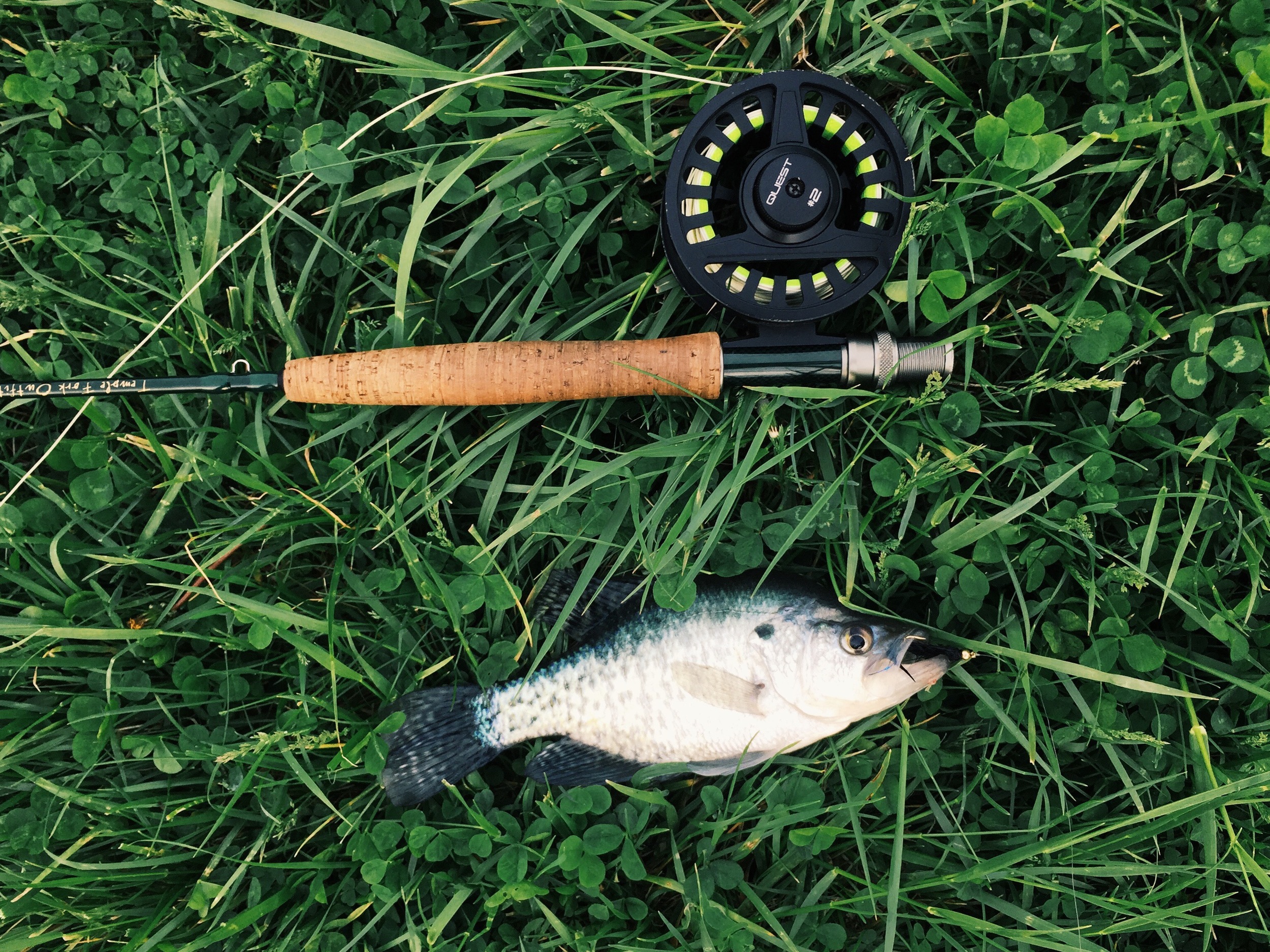 5wt / Black Bead Head Wooly Bugger / Sinking furled leader 