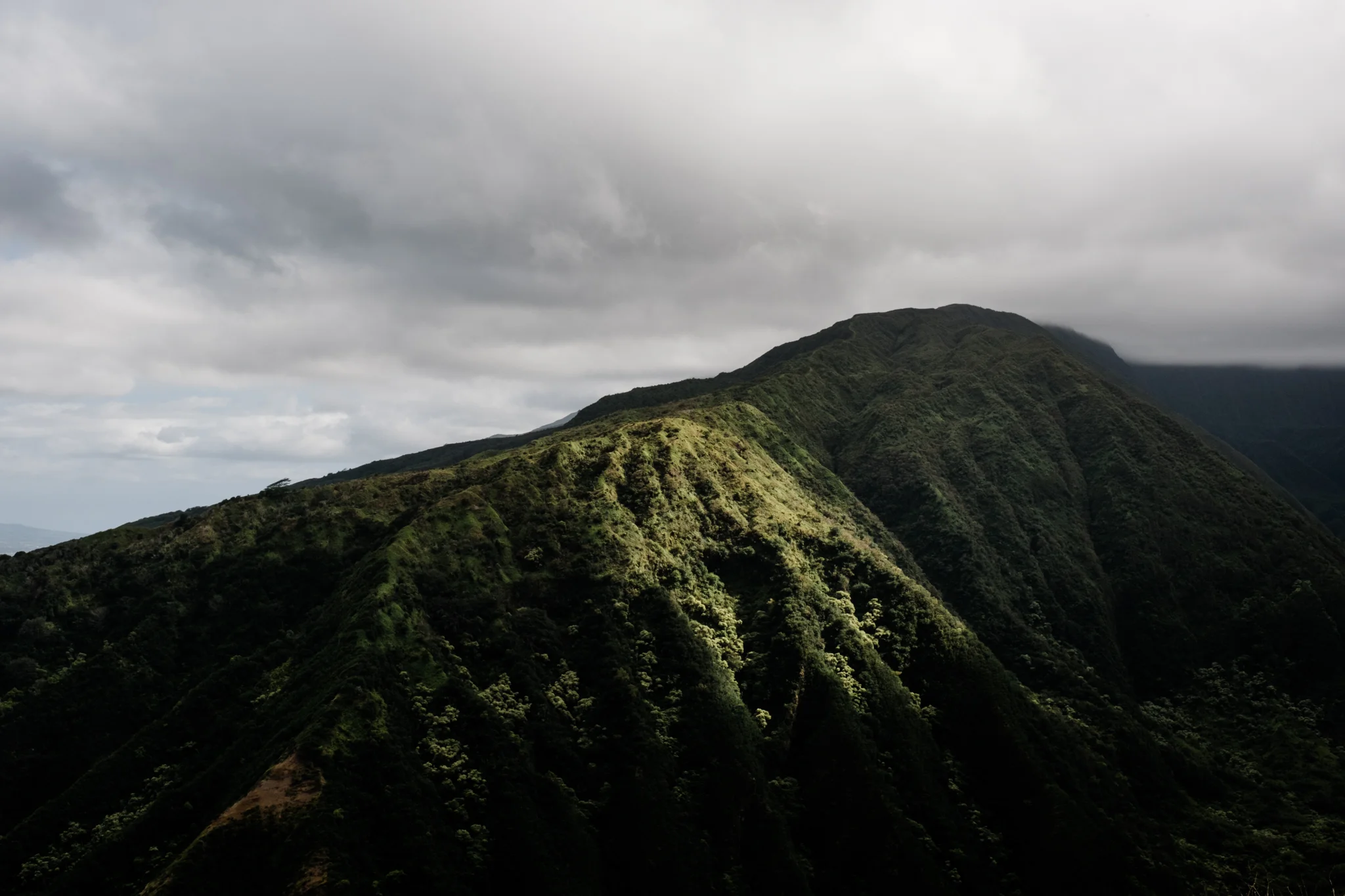 Waihee RIdge Trail (5 of 14).jpg