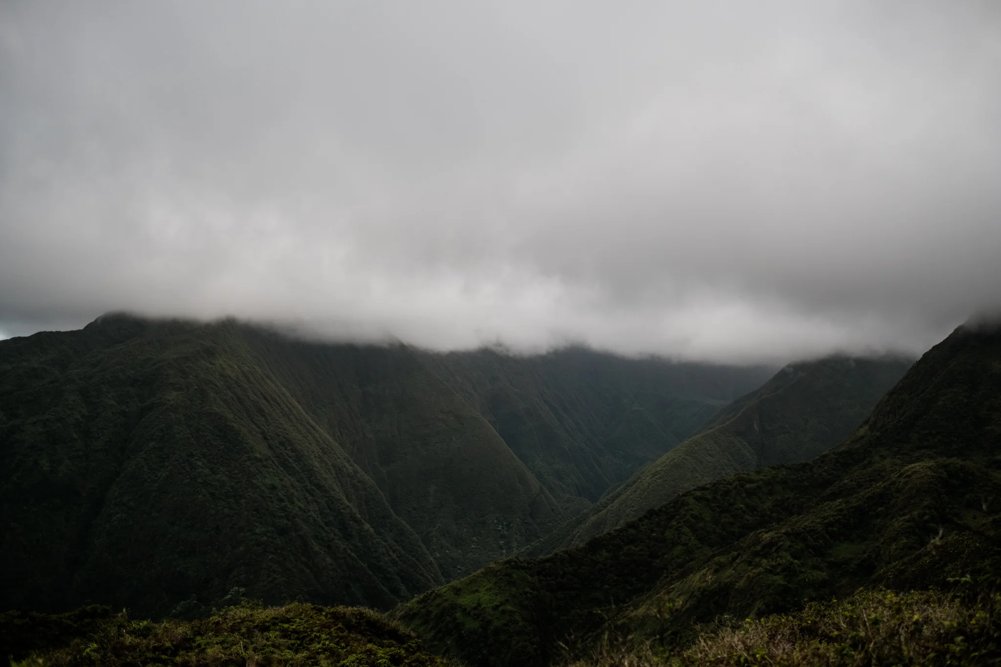 Waihee RIdge Trail (13 of 14).jpg