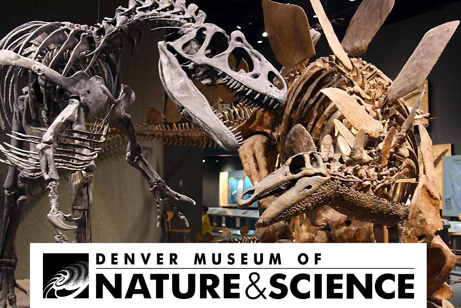 Denver Museum of Nature and Science