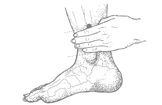 sp-6_2acupuncture-rhizome-net.gif