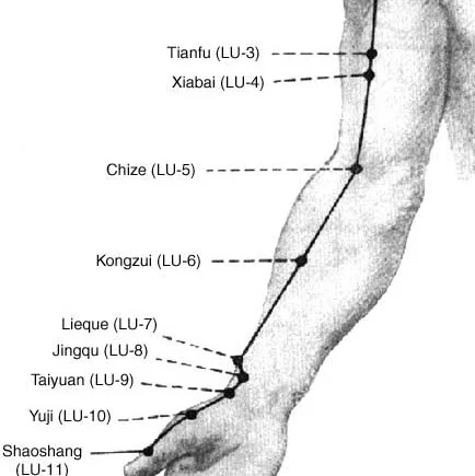 Lung-Point-6.jpg