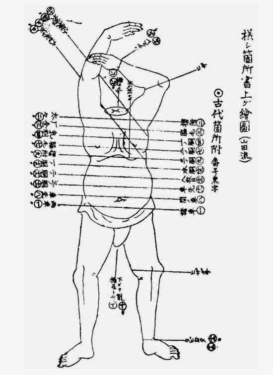 ○ BEFORE & AFTER YOUR TREATMENT GUIDE General guidelines to get the most out of your acupuncture or TCM treatment. What to avoid after treatment & other frequently asked questions. ○ PREPARING YOUR TCM HERBAL FORMULA A client resource, giving you special direction to maximize the benefits of your herbal treatment as well as preparation instructions. ○ CUPPING HICKIES: REMOVING CUPPING MARKS QUICKLY If for whatever reason you need those cupping marks gone quickly, here are my tips for cupping hickey / blemish removal. Using things you already have at home, I show you how to help break up and loosen blood in the area, assist in healing, and of course help quickly disperse any marks left from cupping.