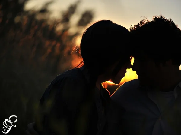 Love is a Field