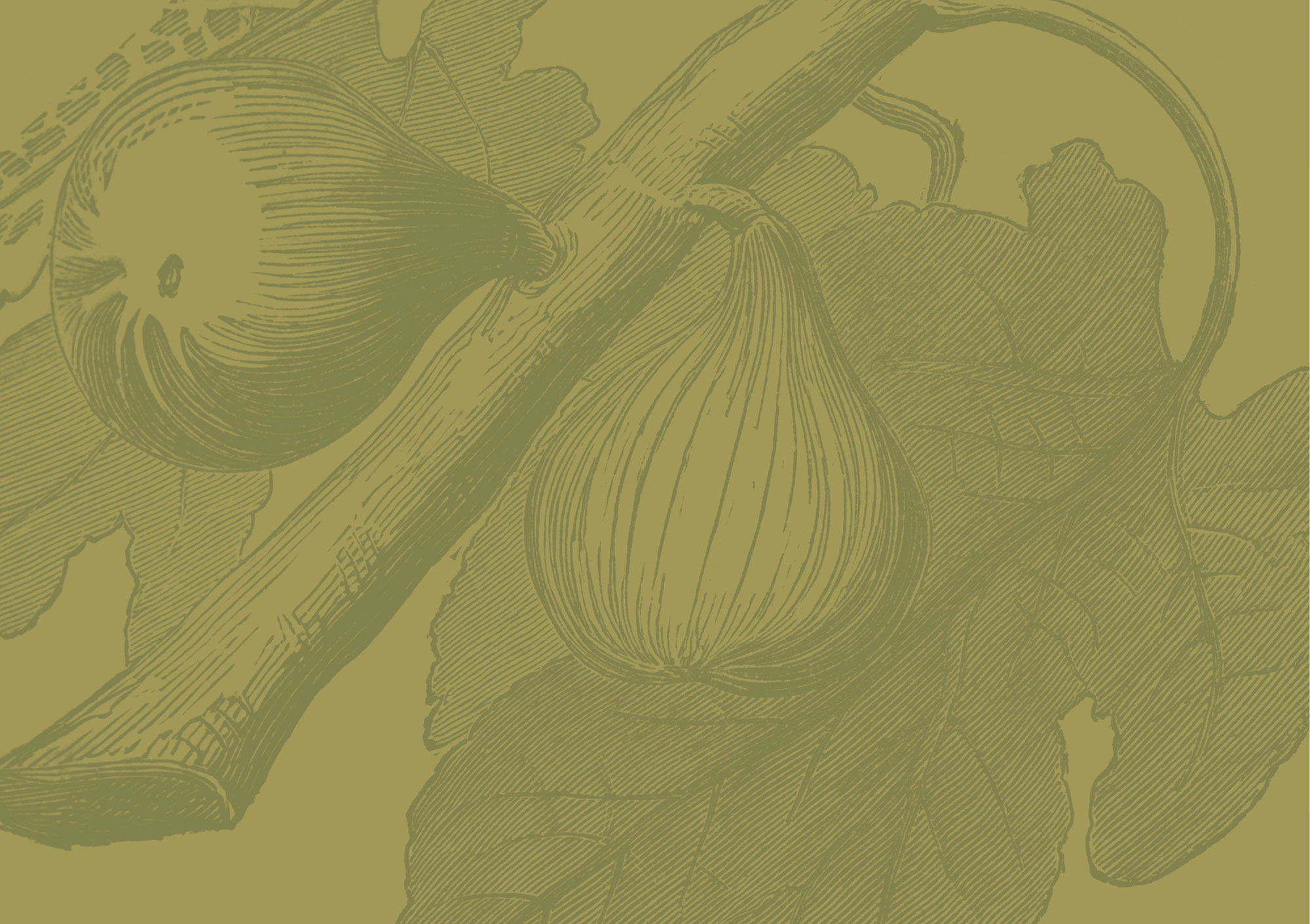 FIG.jpg