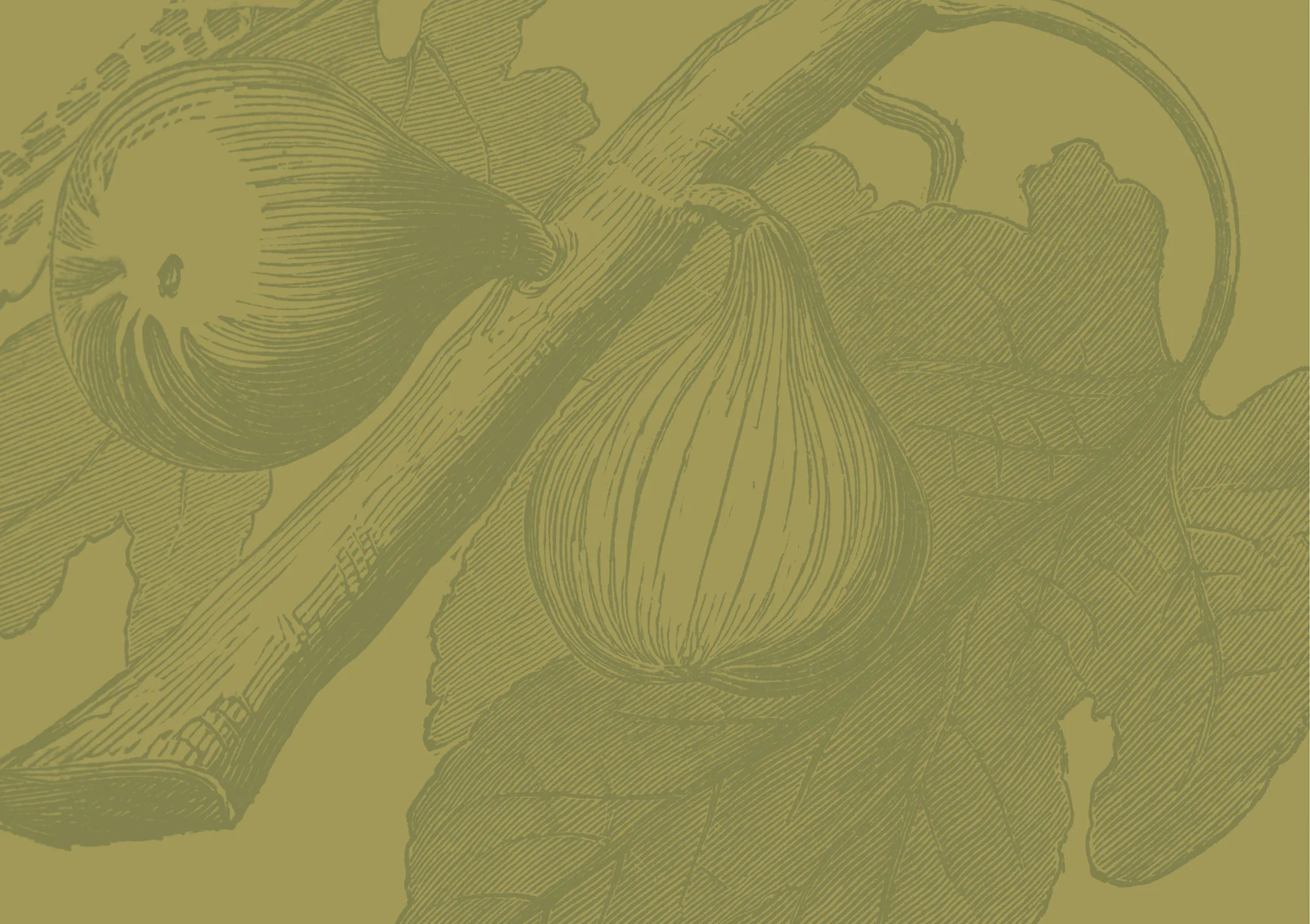 FIG.jpg