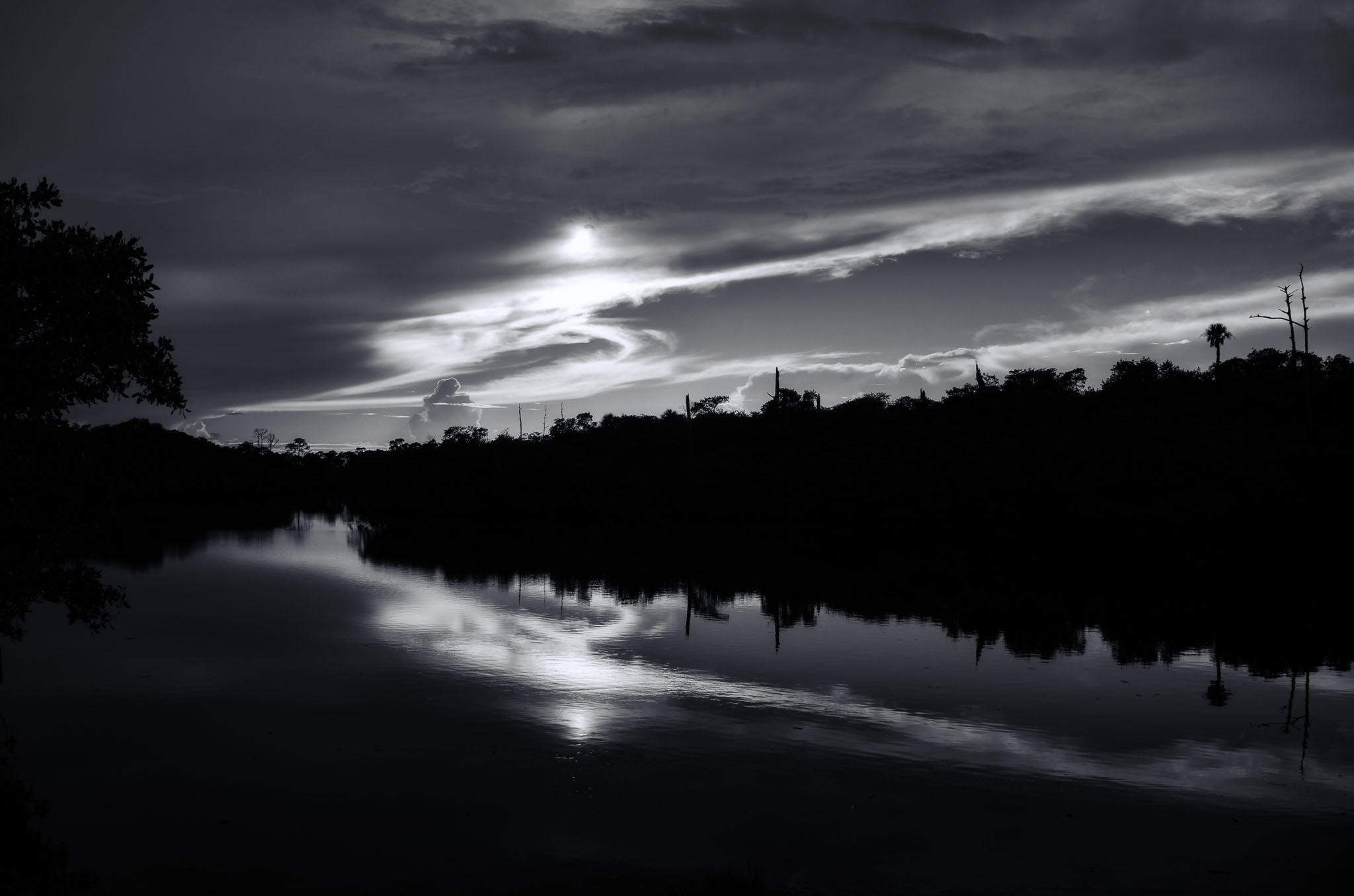 Loxahatchee Reflections