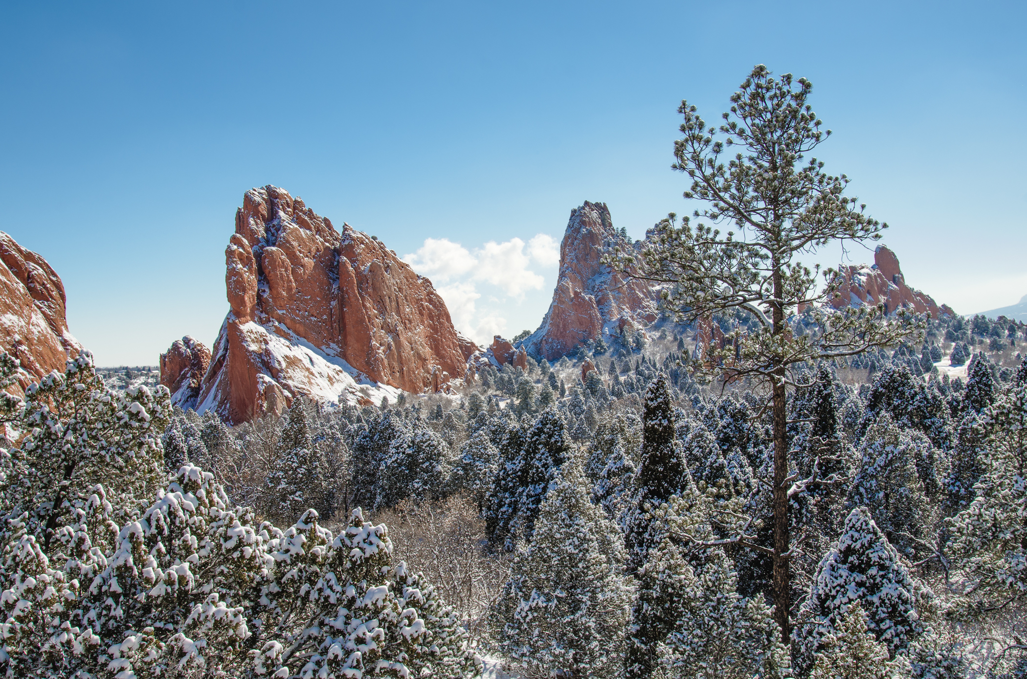 Garden of the Gods in Snow, #3