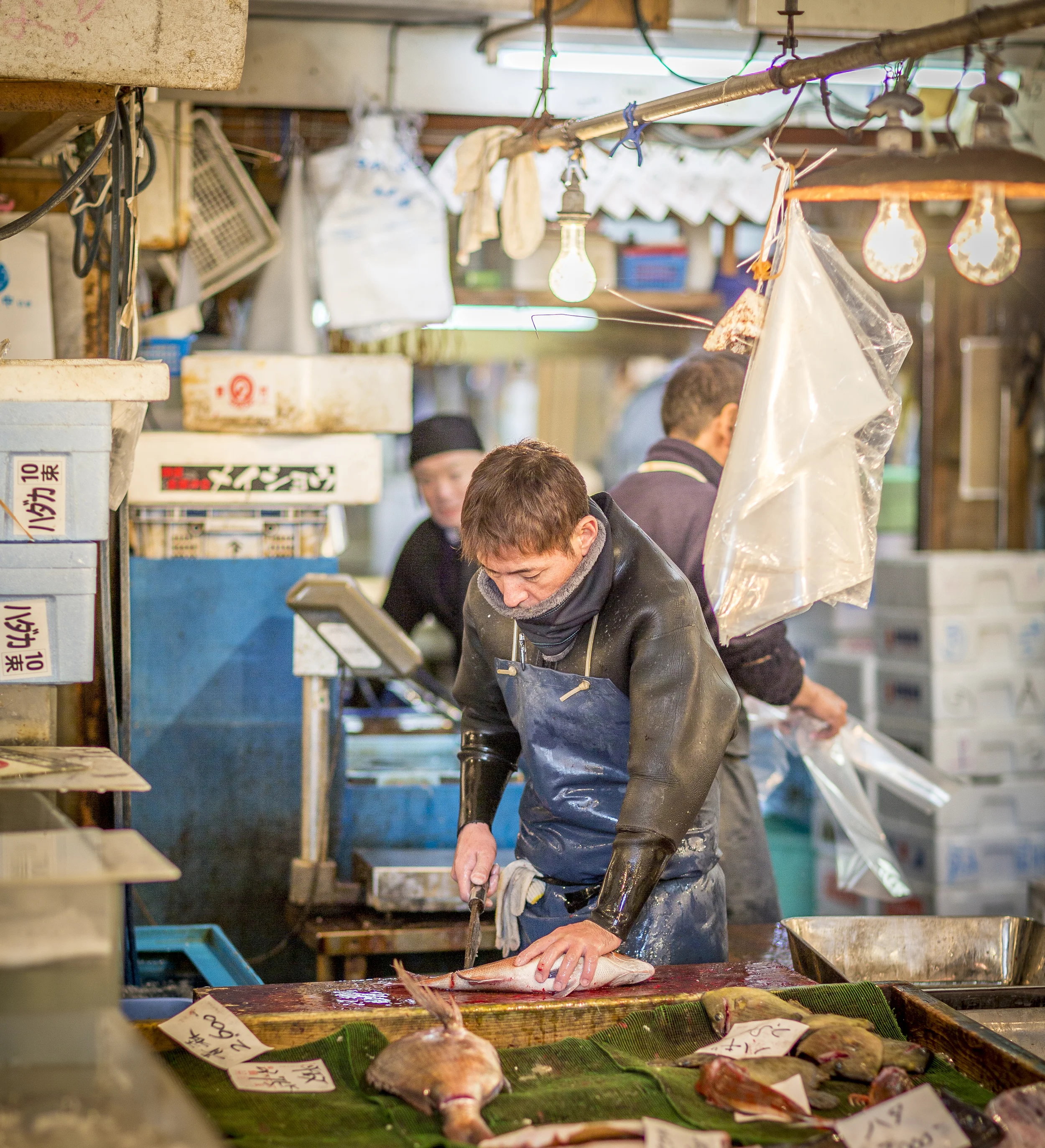 Fish Market-1703.jpg
