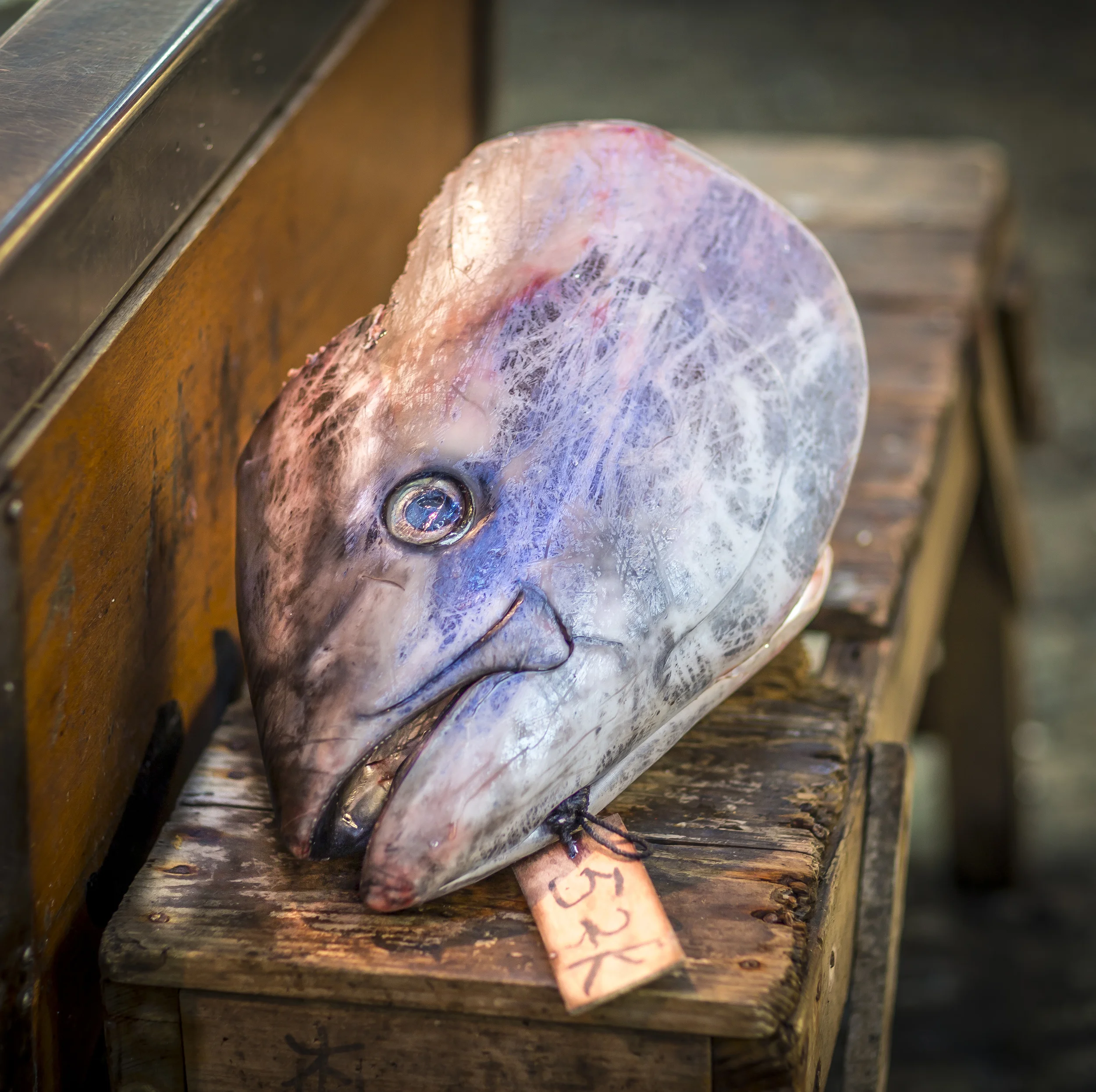 Fish Market-1708.jpg