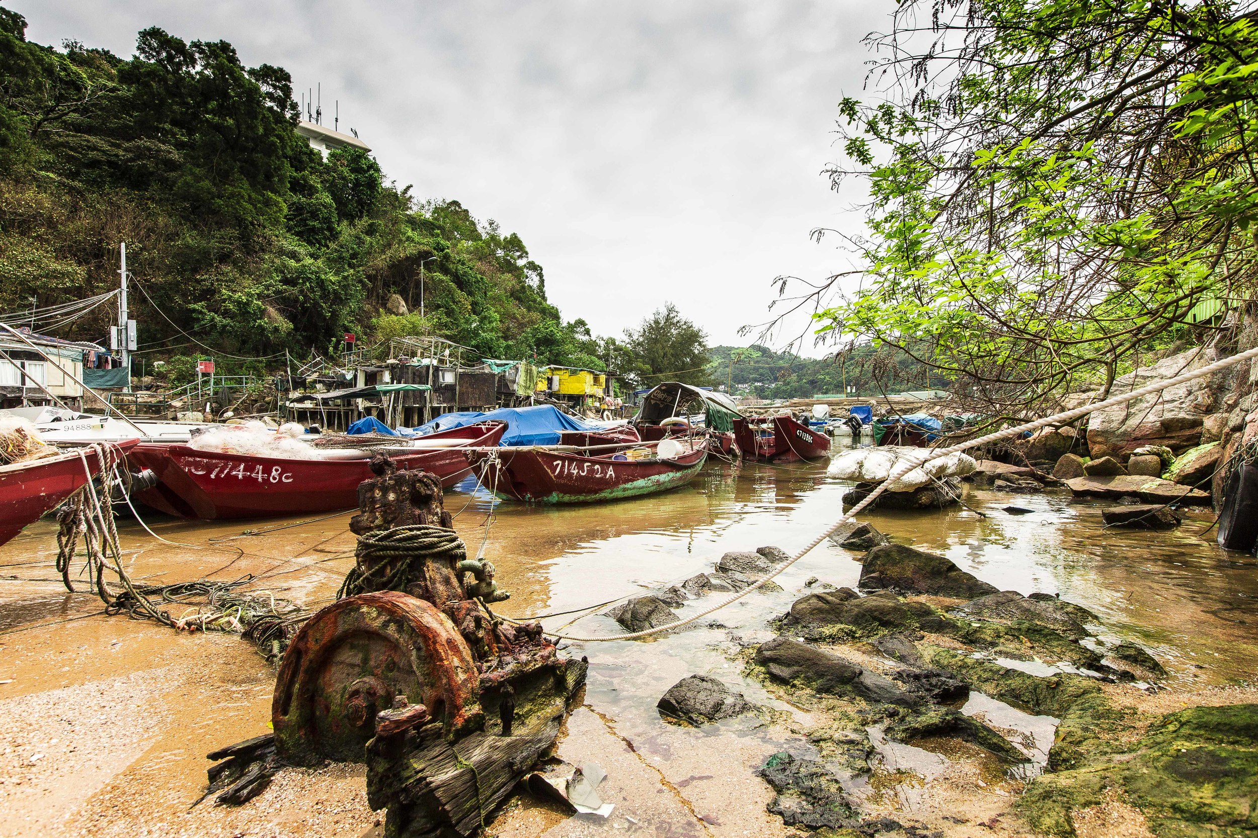 LAmaIsland-.jpg