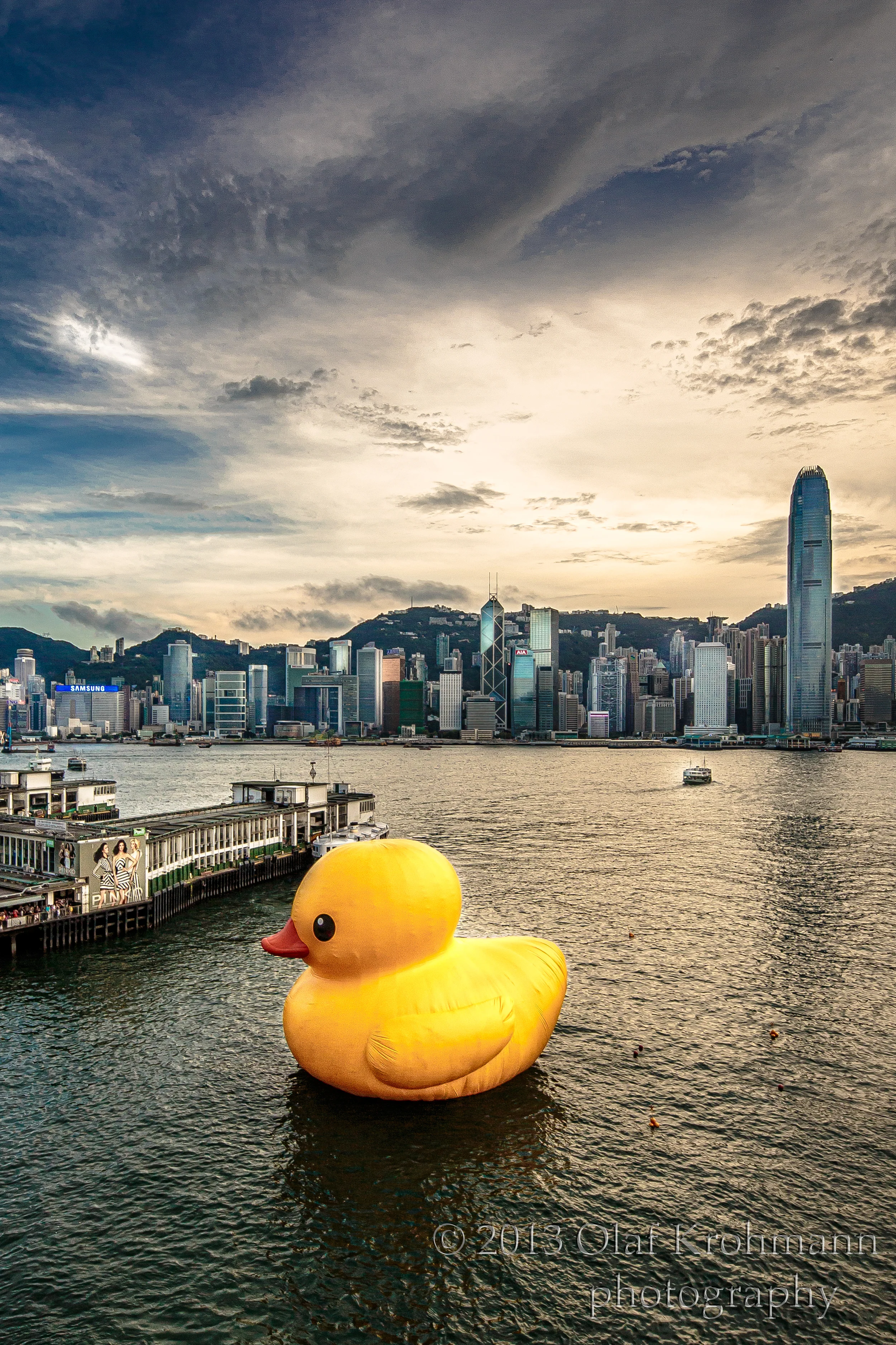 Duck2.jpg