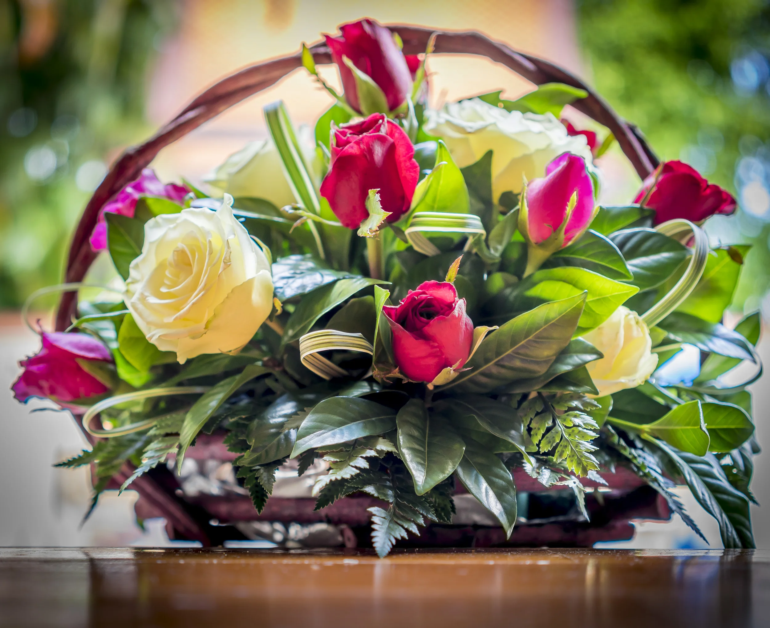 Sigridsblumen-0818.jpg