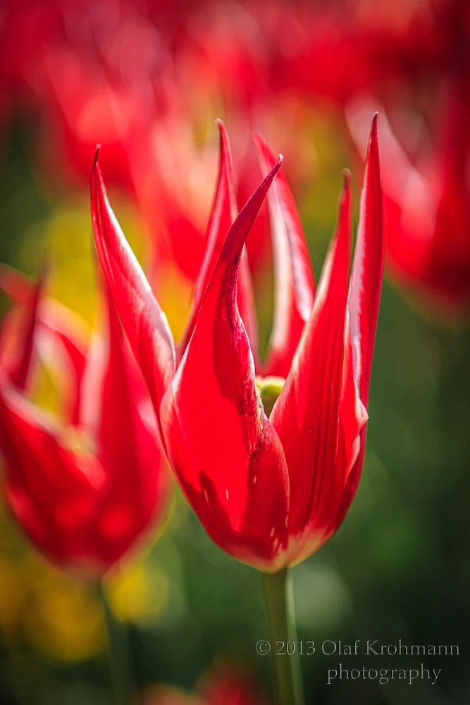 _I4C5749-Edit.jpg