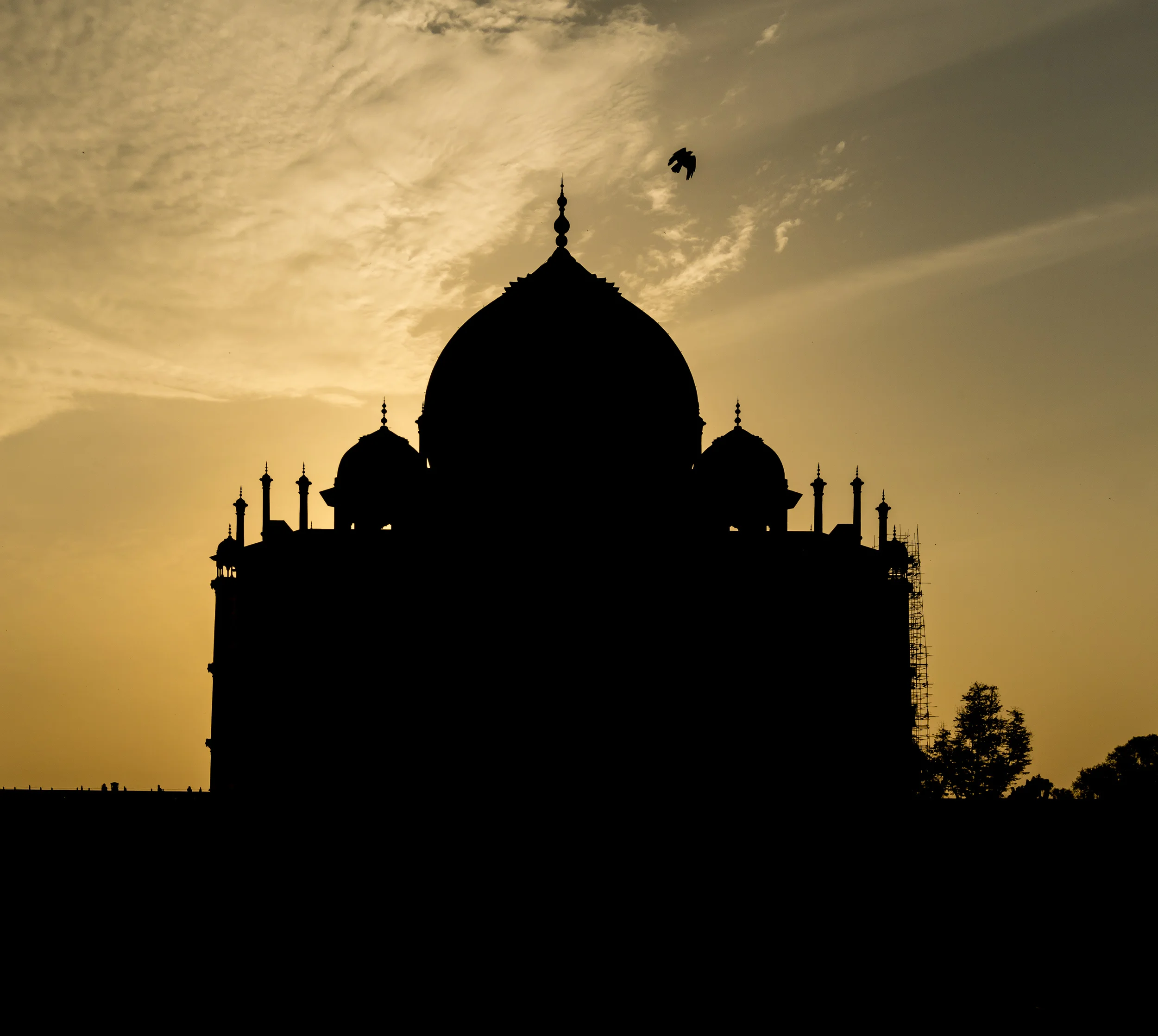 Taj Mahal 009.jpg