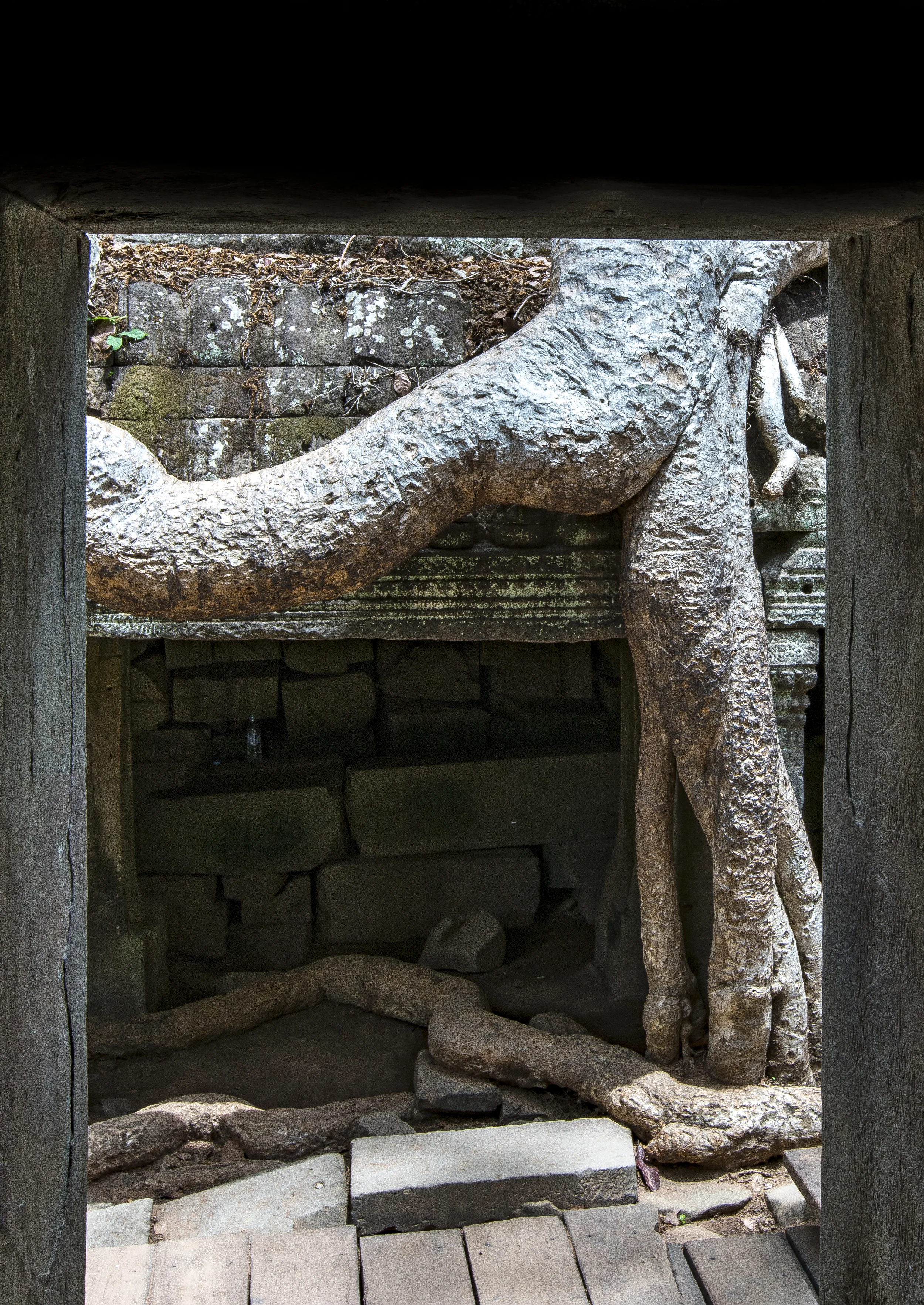 Ta Prohm015.jpg