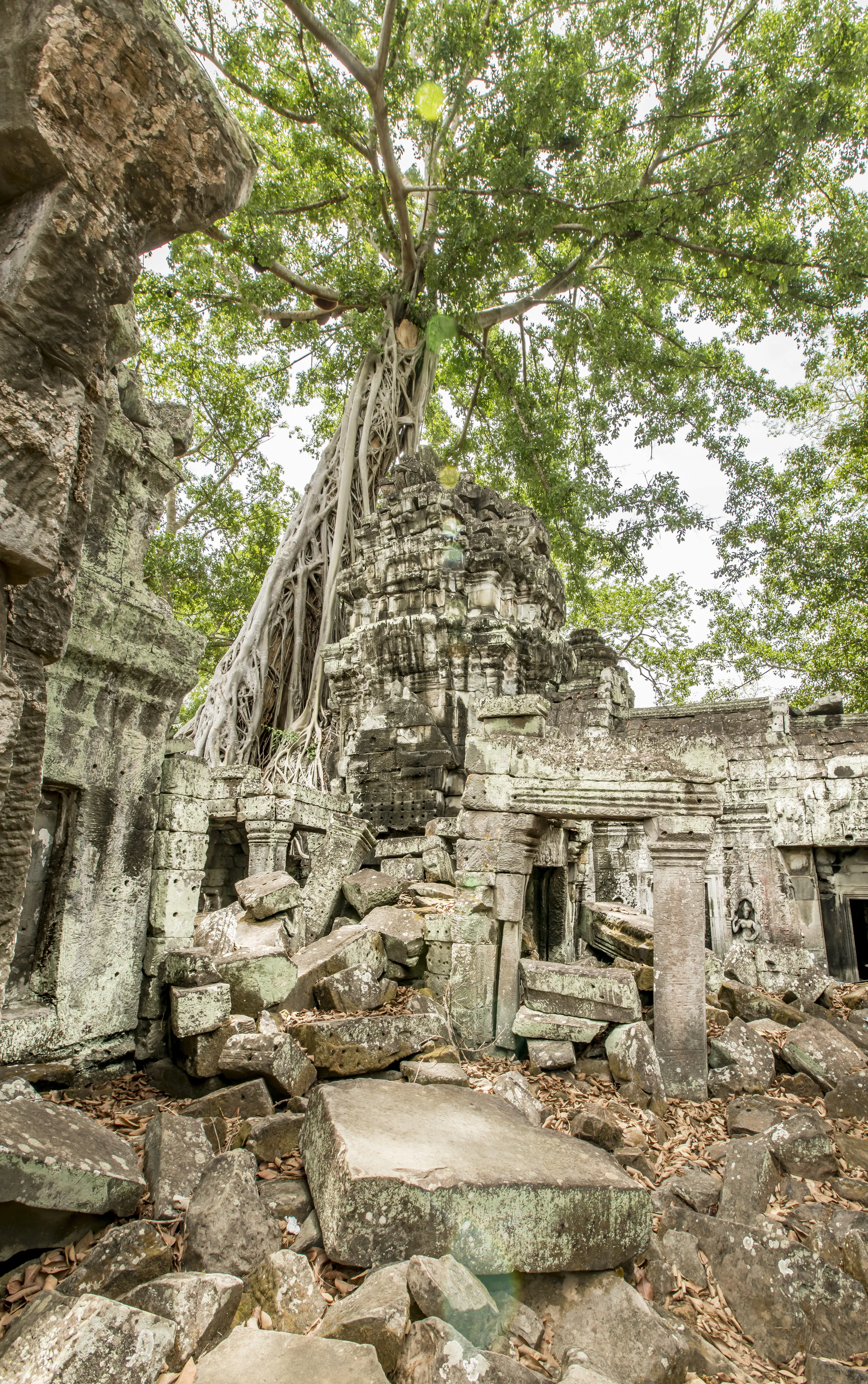 Ta Prohm014.jpg