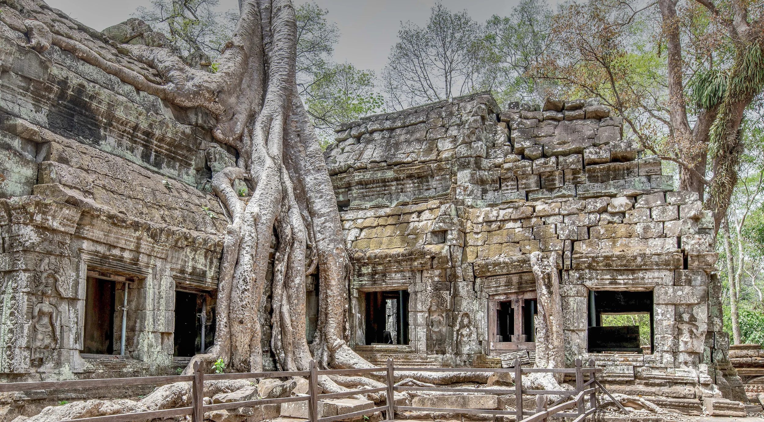 Ta Prohm006a.jpg