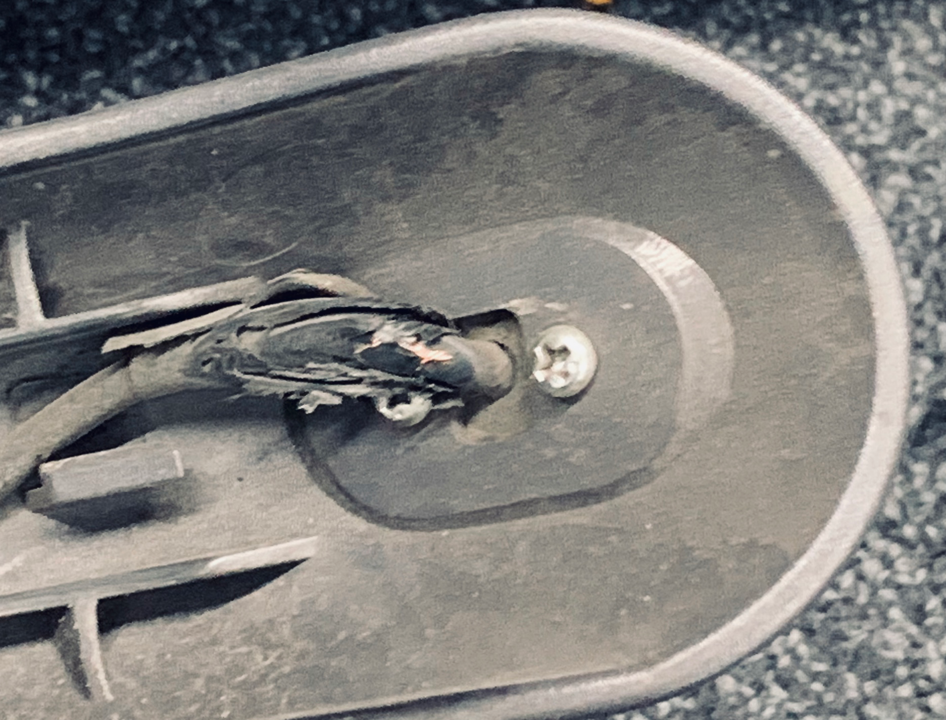Cable wear inside the mudguard.