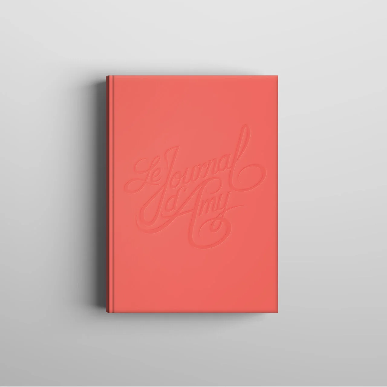 Le Journal d'Amy