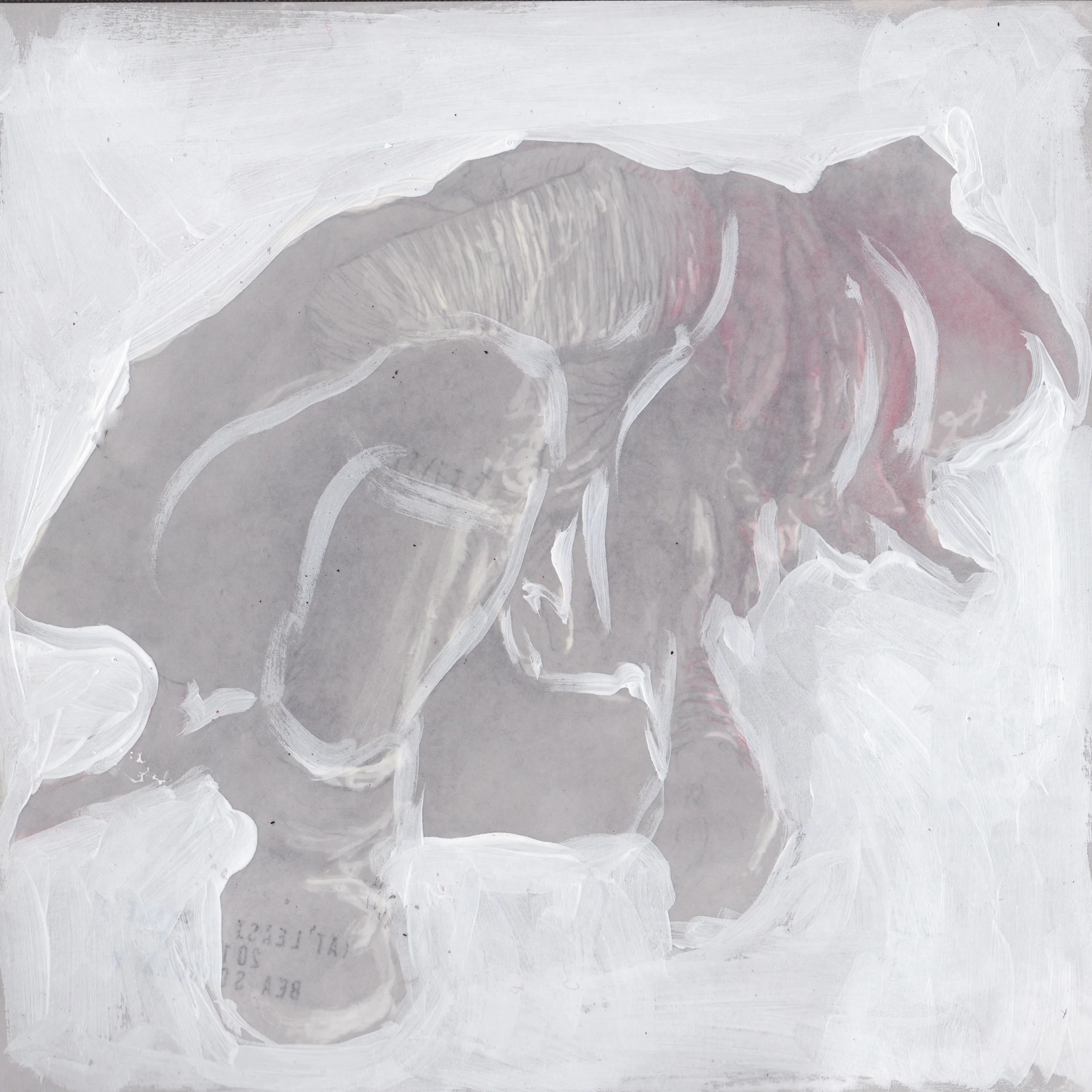 At least a snake n. 6/12 2012 pencil, pastels, chalk and wax on paper 8x8 inches