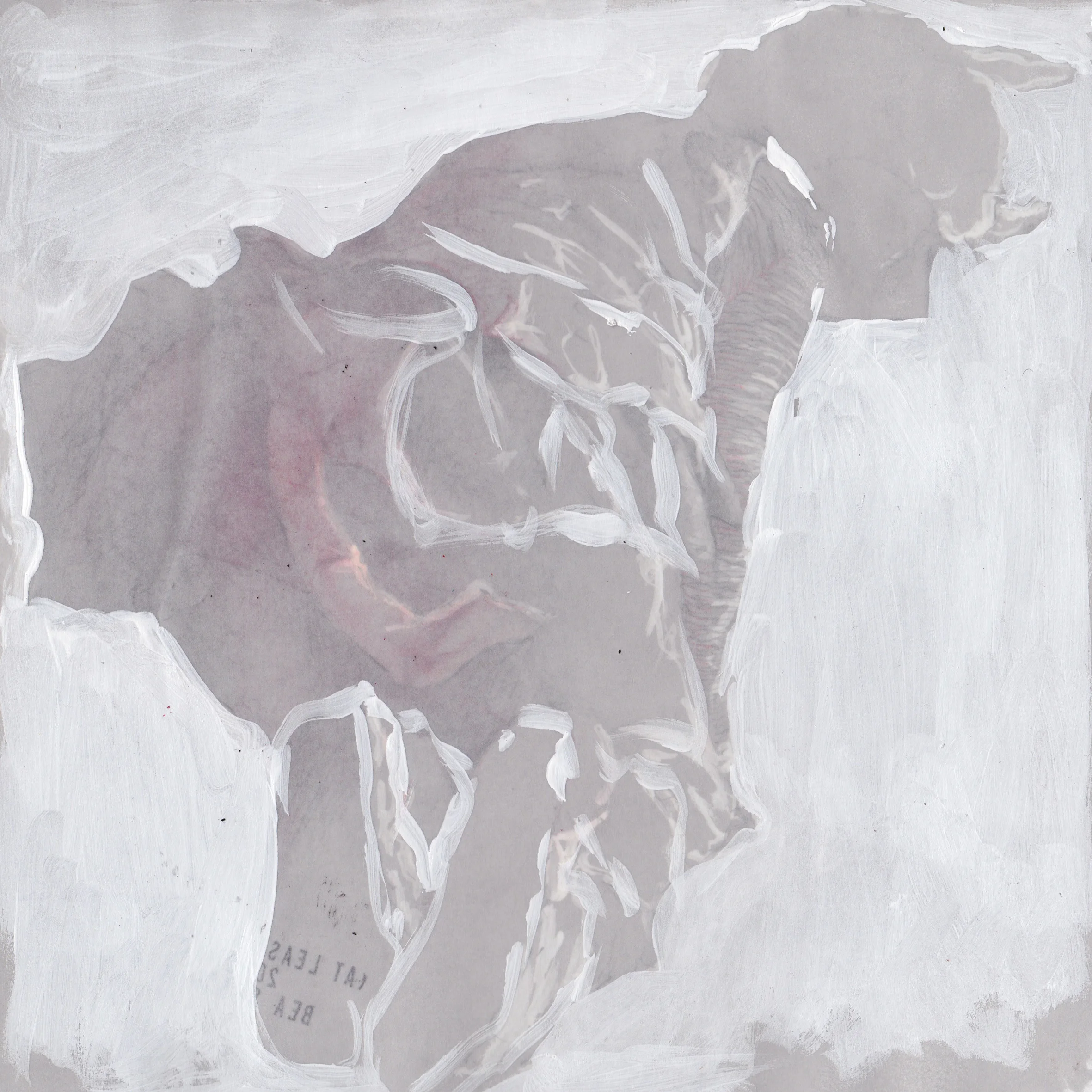 At least a snake n. 8/12 2012 pencil, pastels, chalk and wax on paper 8x8 inches