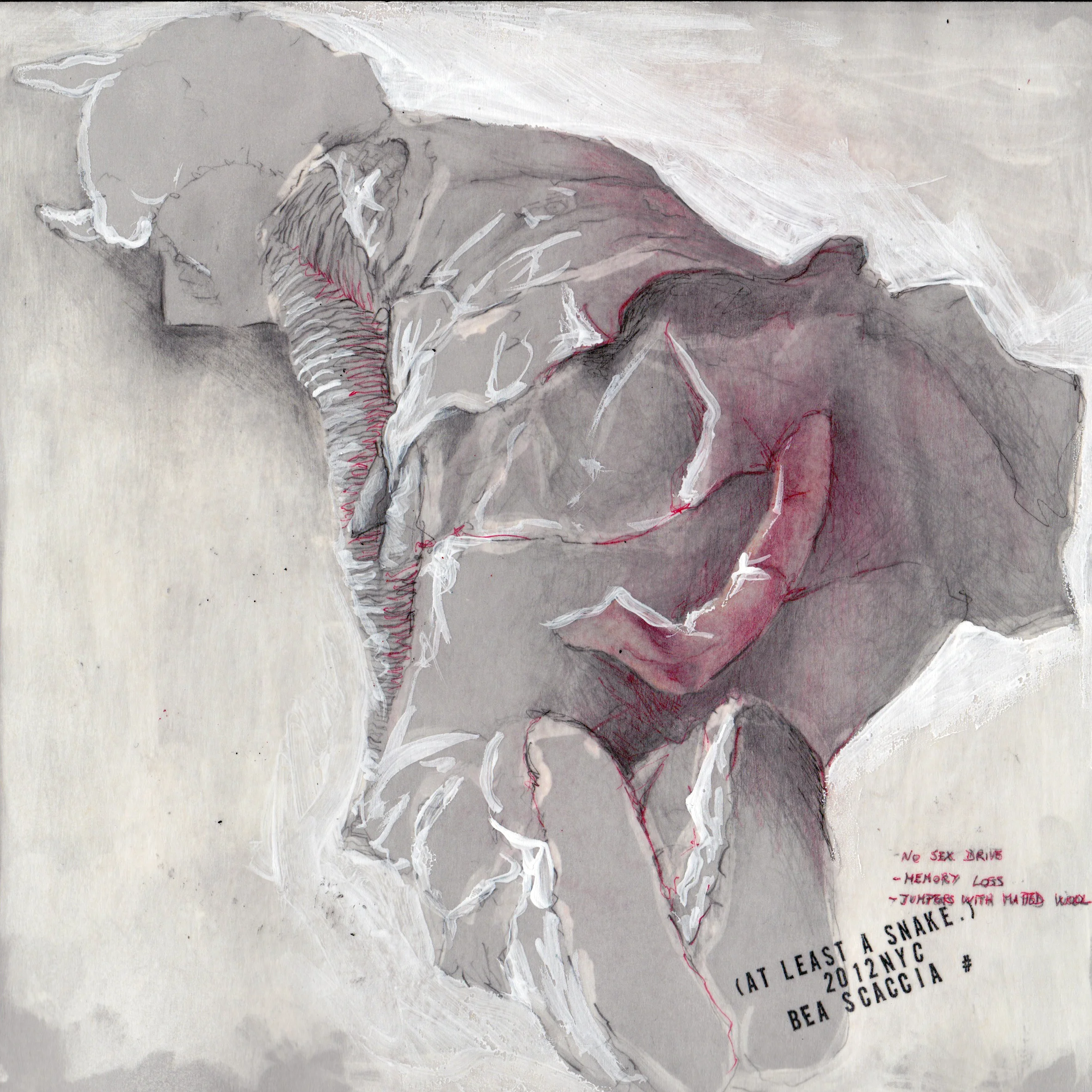 At least a snake n. 8/12 2012 pencil, pastels, chalk and wax on paper 8x8 inches