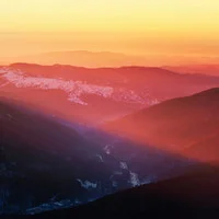 to shake - Us by Haring