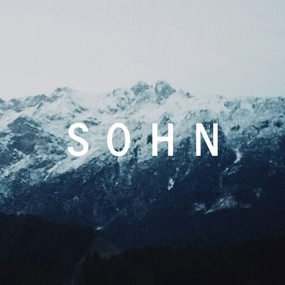 to shake - sohn / the wheel