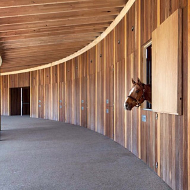 Suite__equestriancentre__studiosethstein__wood__architects__archilovers__architecture__melbourne__australia_by_christinebodino.jpg