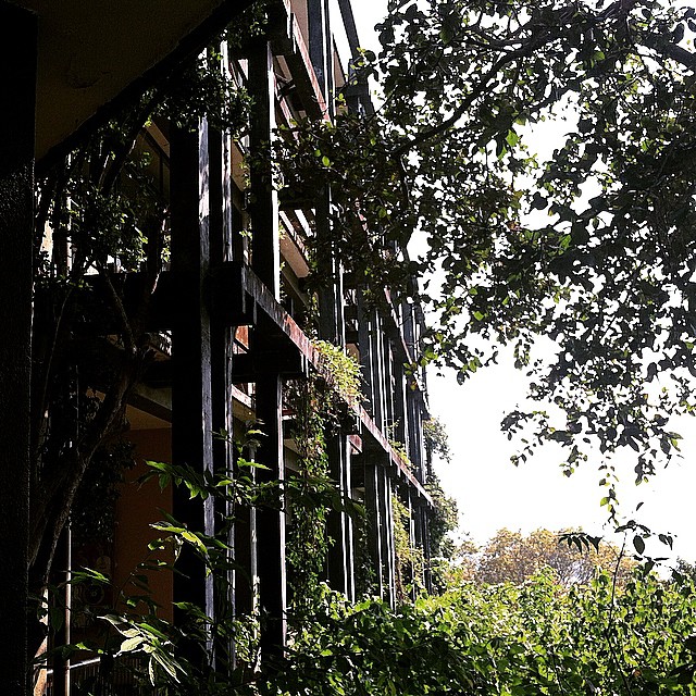 We_missed_our_opportunity_to_stay_at_the__kandalama__hotel_by__geoffreybawa__but_managed_to_stop_by_for_a_buffet_lunch_and_checked_out_the_hotel_grounds._It_s_a_really_neat_building_on_a_beautiful_setting__why__of_course__.__modernarchitecture_in__Ce.jpg