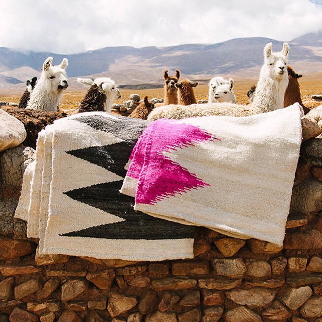 This_is_the_backyard_of_one_of_the_artisans_that_weave_the_Puna_collection._From_Argentina_with_love_____wearepampa__explore__art__preserve__heritage__empower__culture__nature__llamas__rugs__wool__weavers_by_wearepampa.jpg