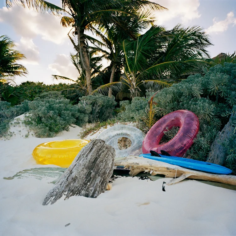 to shop - xavier guardans