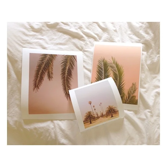 to follow - wilder california