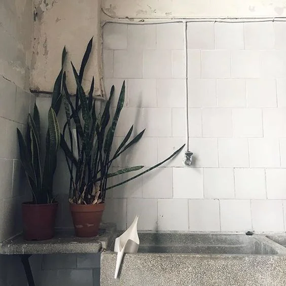@ filipaure-02.jpg